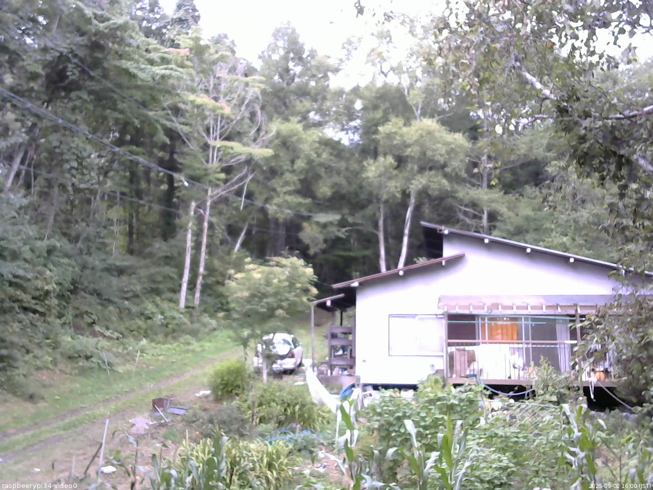 長野県菅平高原 ゆたか山荘 西側(坂上) 2025/09/02 16:00