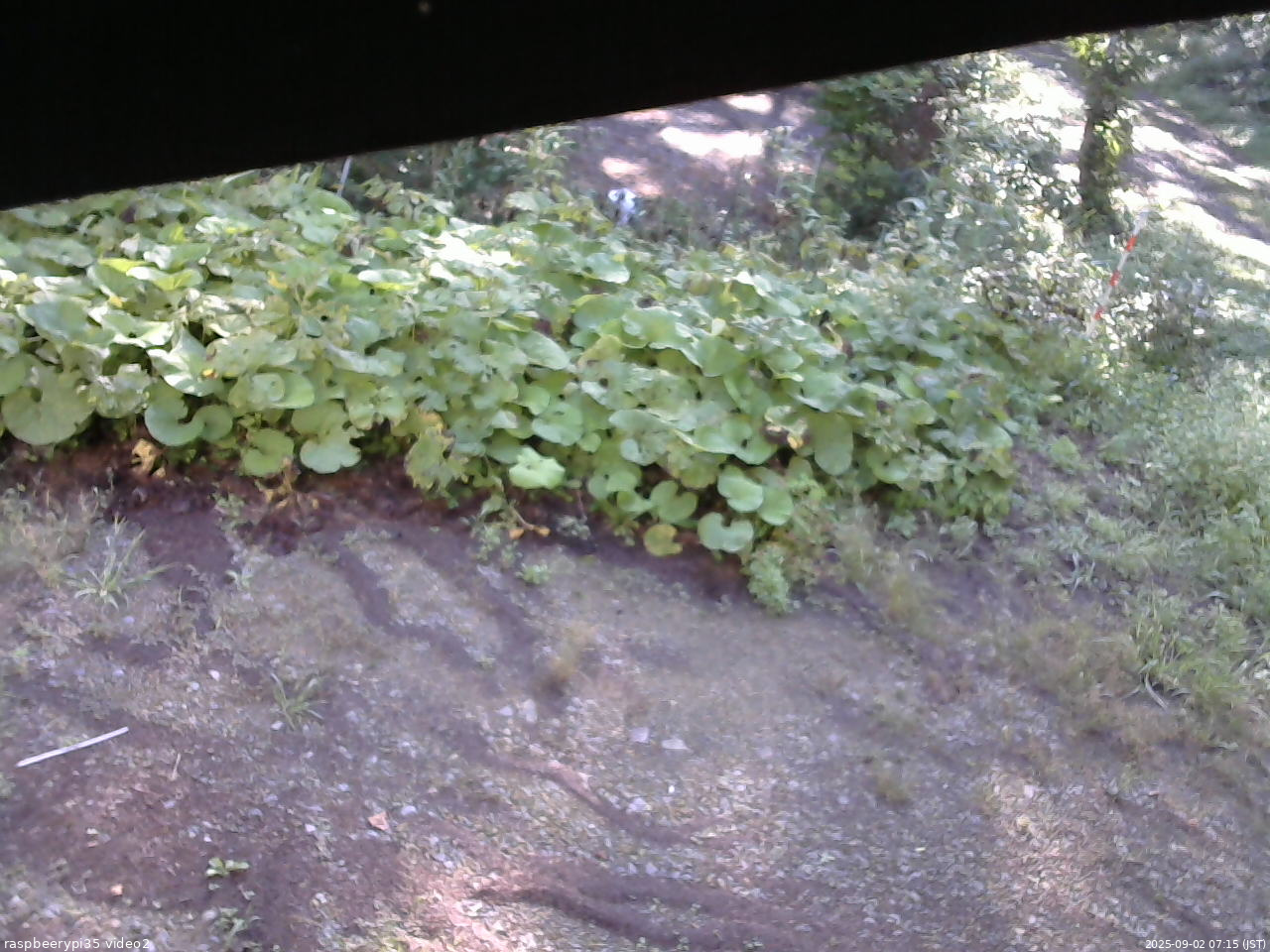 長野県菅平高原 ゆたか山荘 駐車場 2025/09/02 07:15