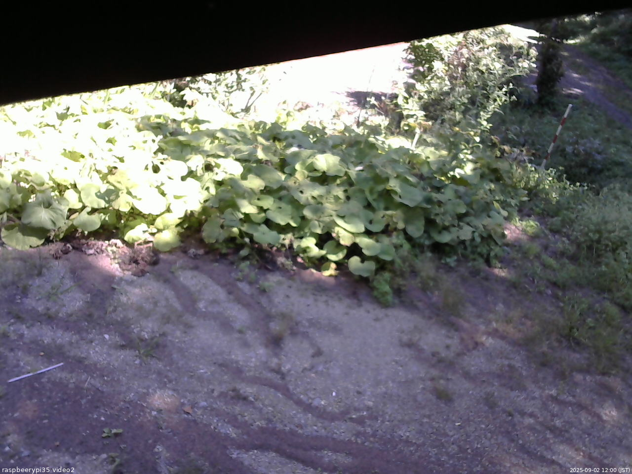 長野県菅平高原 ゆたか山荘 駐車場 2025/09/02 12:00