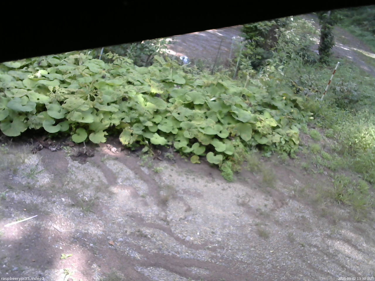 長野県菅平高原 ゆたか山荘 駐車場 2025/09/02 13:30