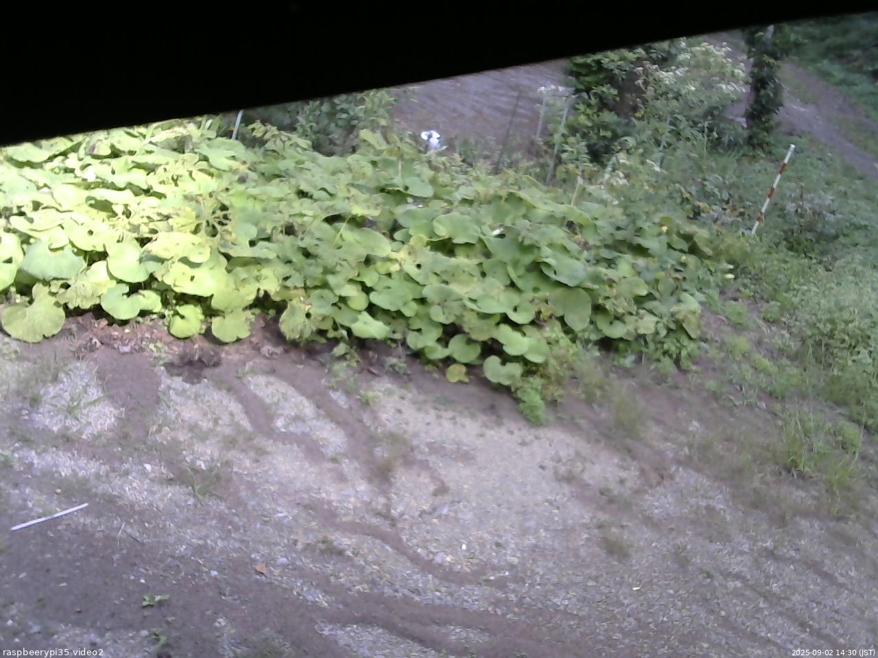 長野県菅平高原 ゆたか山荘 駐車場 2025/09/02 14:30