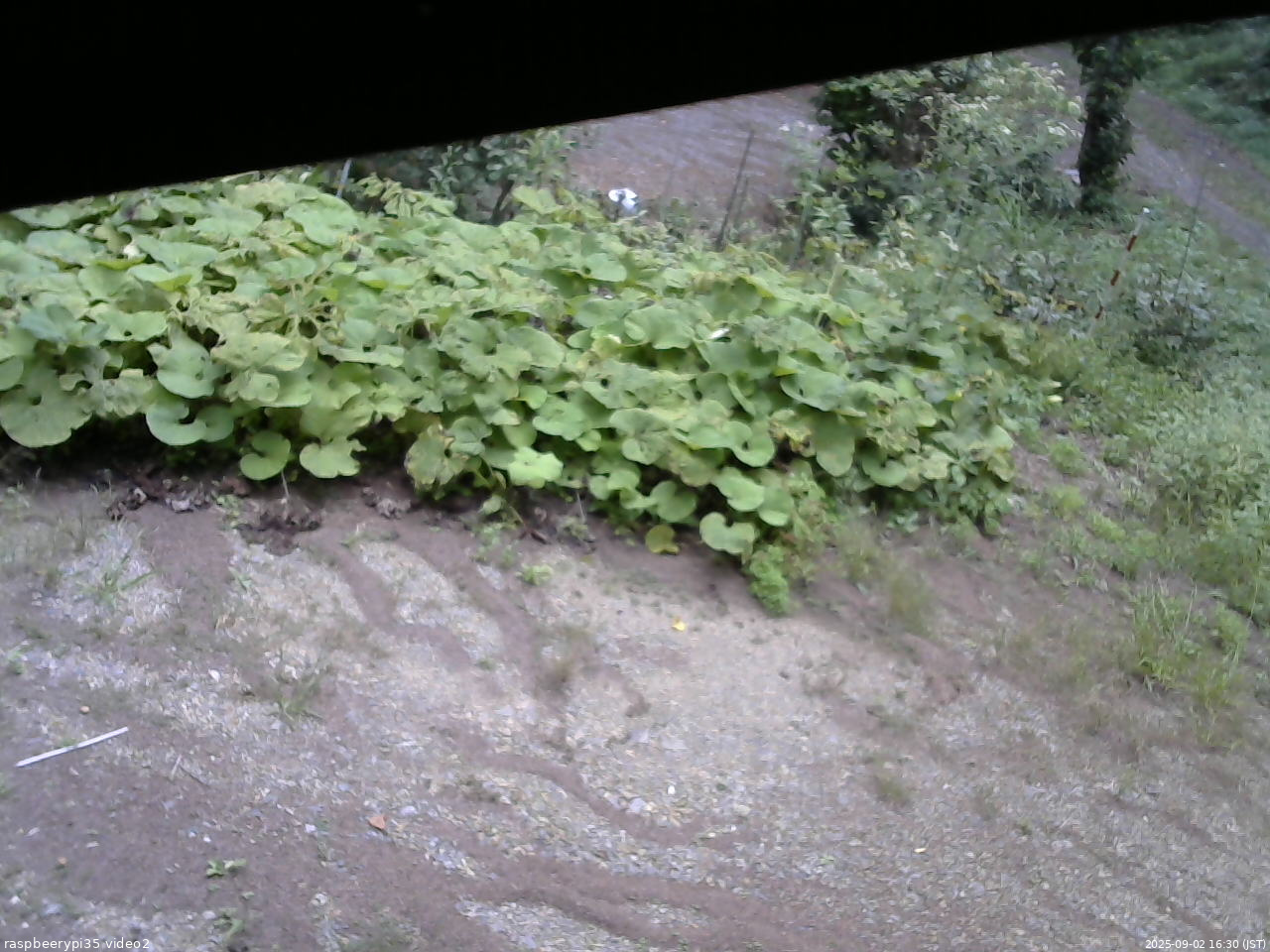 長野県菅平高原 ゆたか山荘 駐車場 2025/09/02 16:30