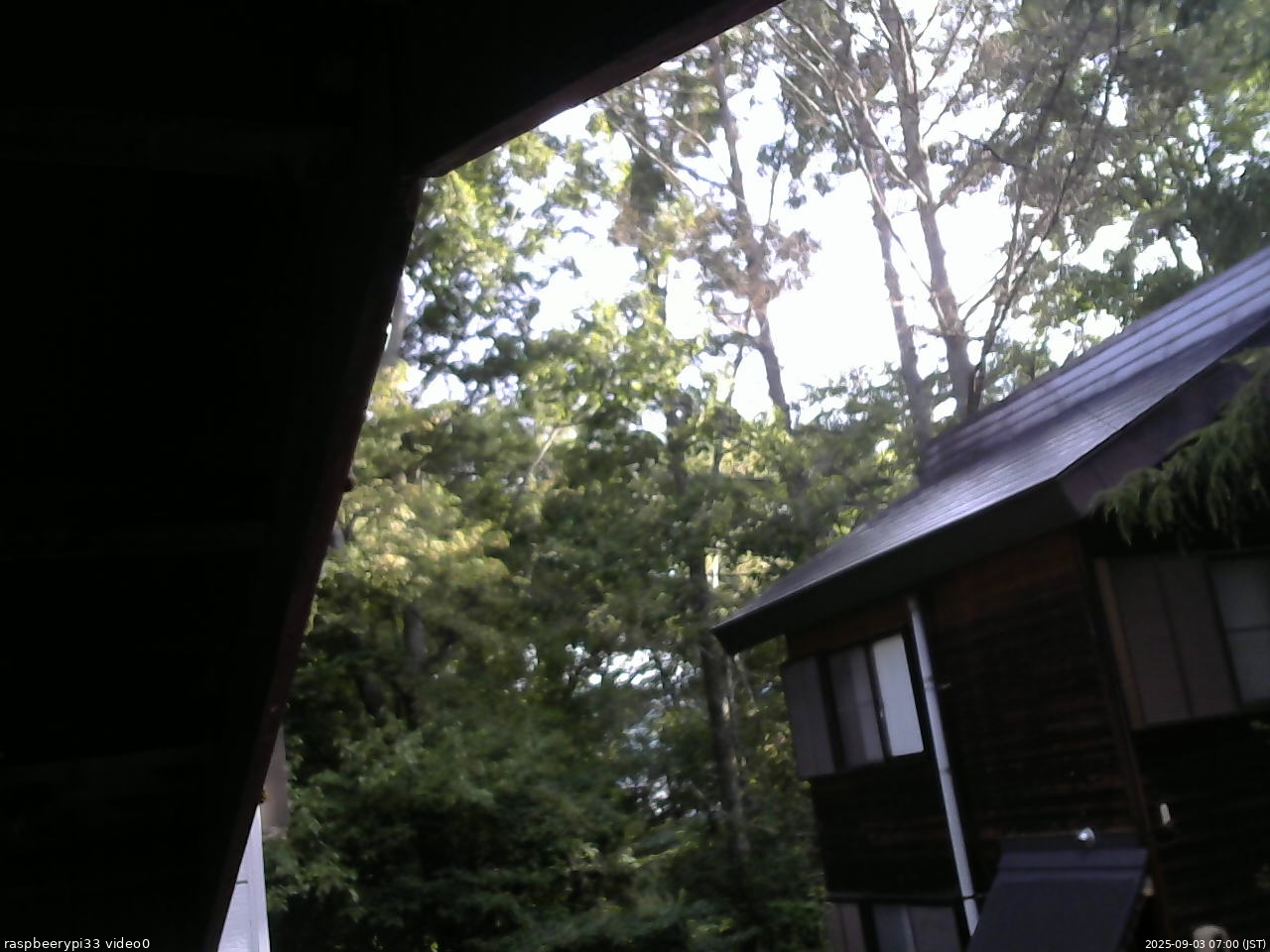 長野県菅平高原 ゆたか山荘 北側 2025/09/03 07:00