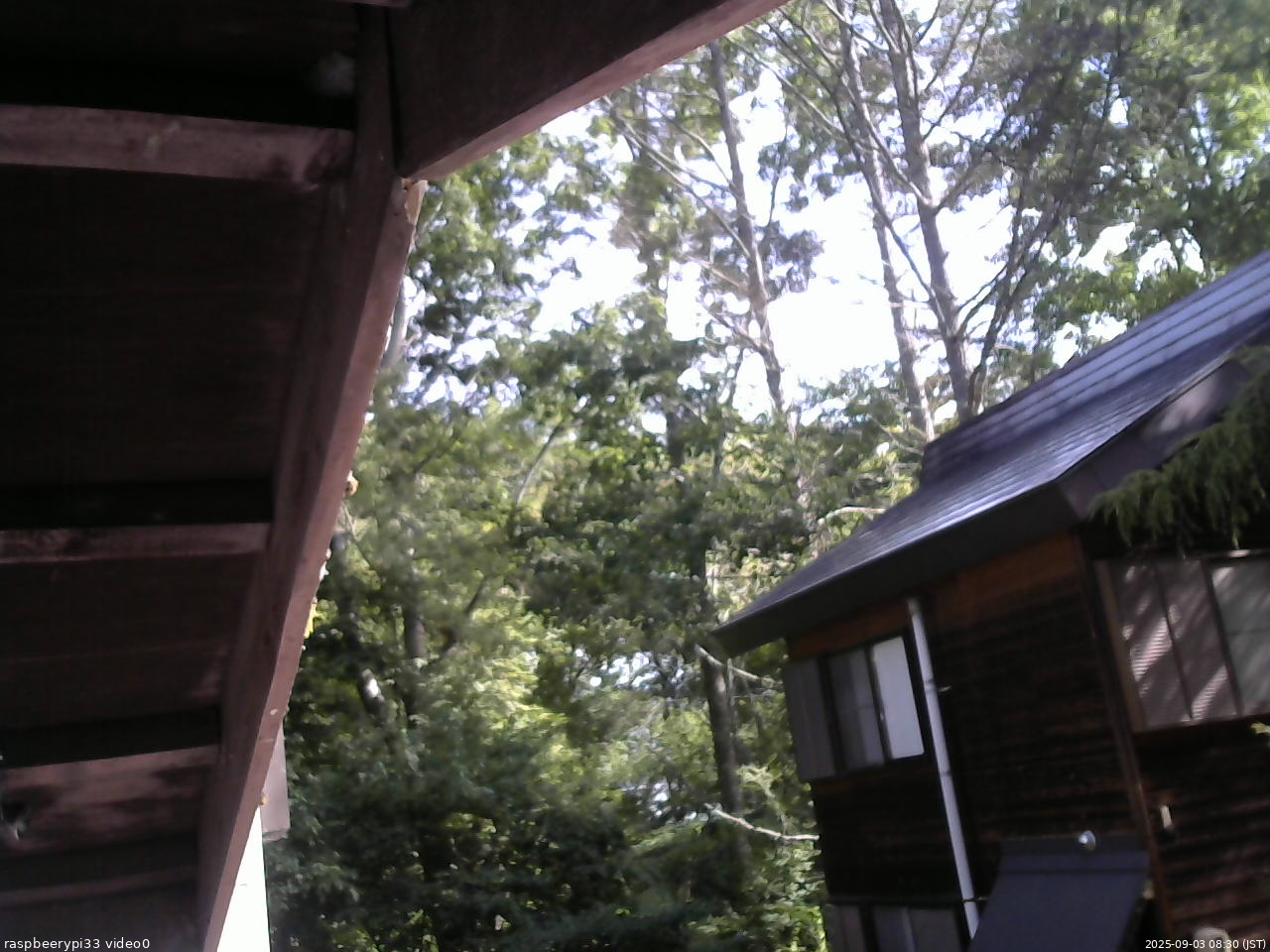 長野県菅平高原 ゆたか山荘 北側 2025/09/03 08:30