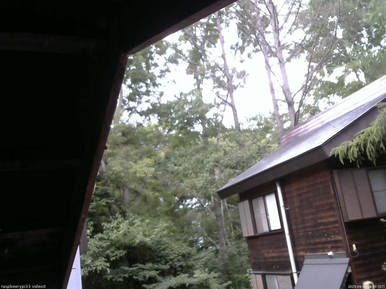 長野県菅平高原 ゆたか山荘 北側 2025/09/03 16:30