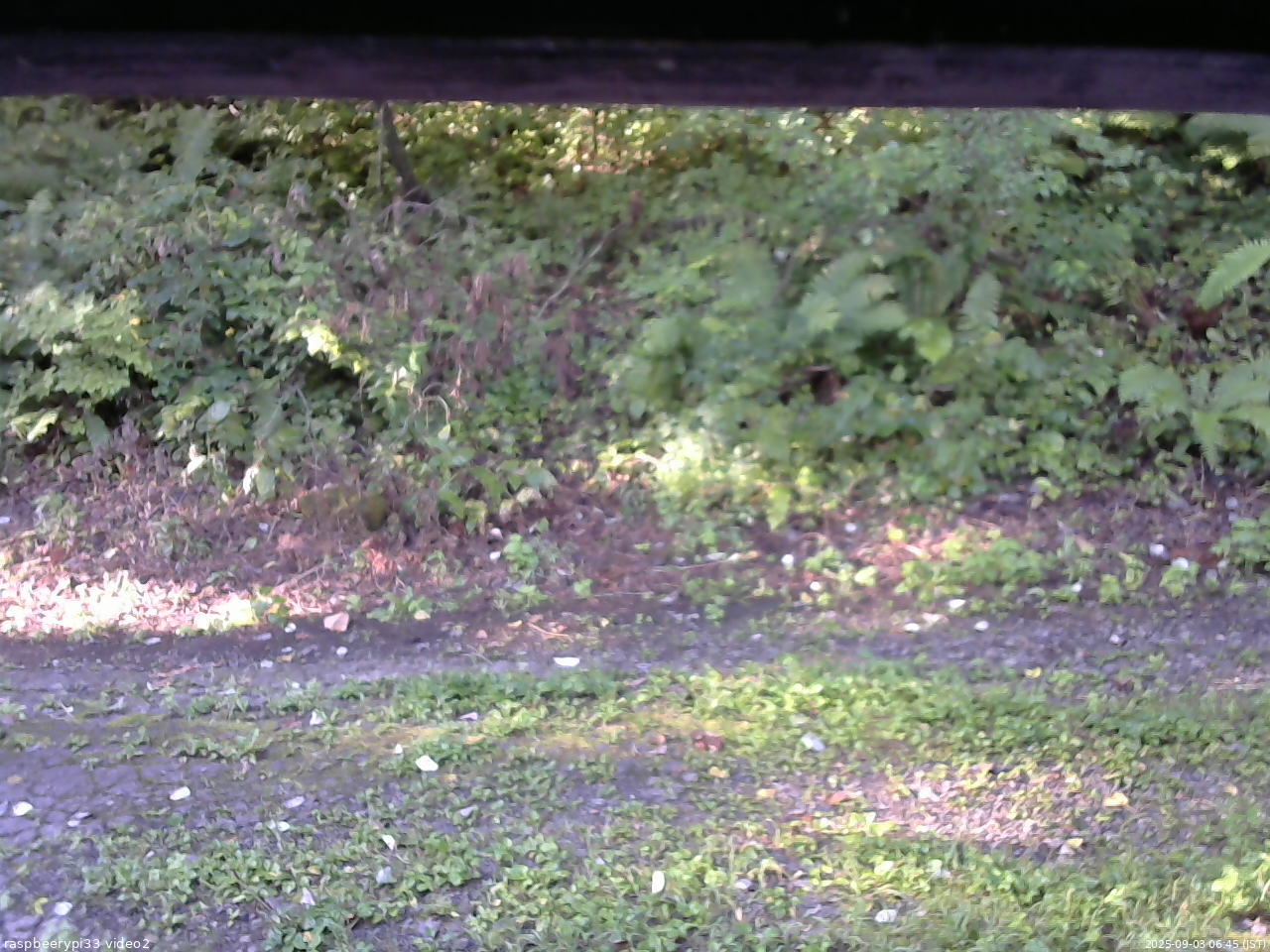 長野県菅平高原 ゆたか山荘 南側 2025/09/03 06:45
