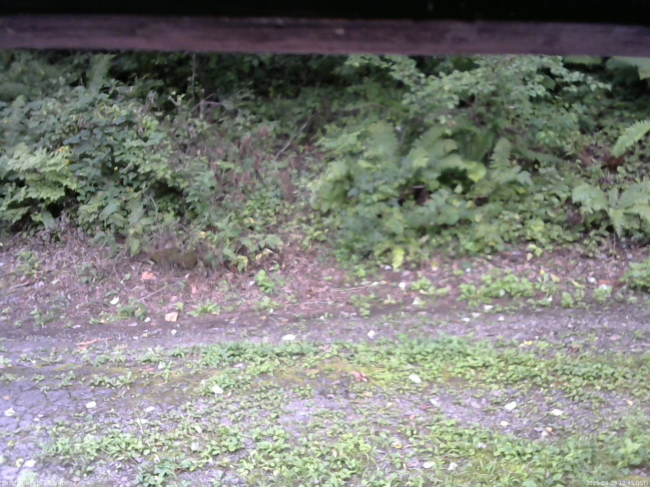長野県菅平高原 ゆたか山荘 南側 2025/09/03 10:45