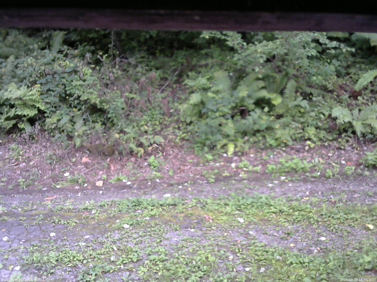 長野県菅平高原 ゆたか山荘 南側 2025/09/03 16:45