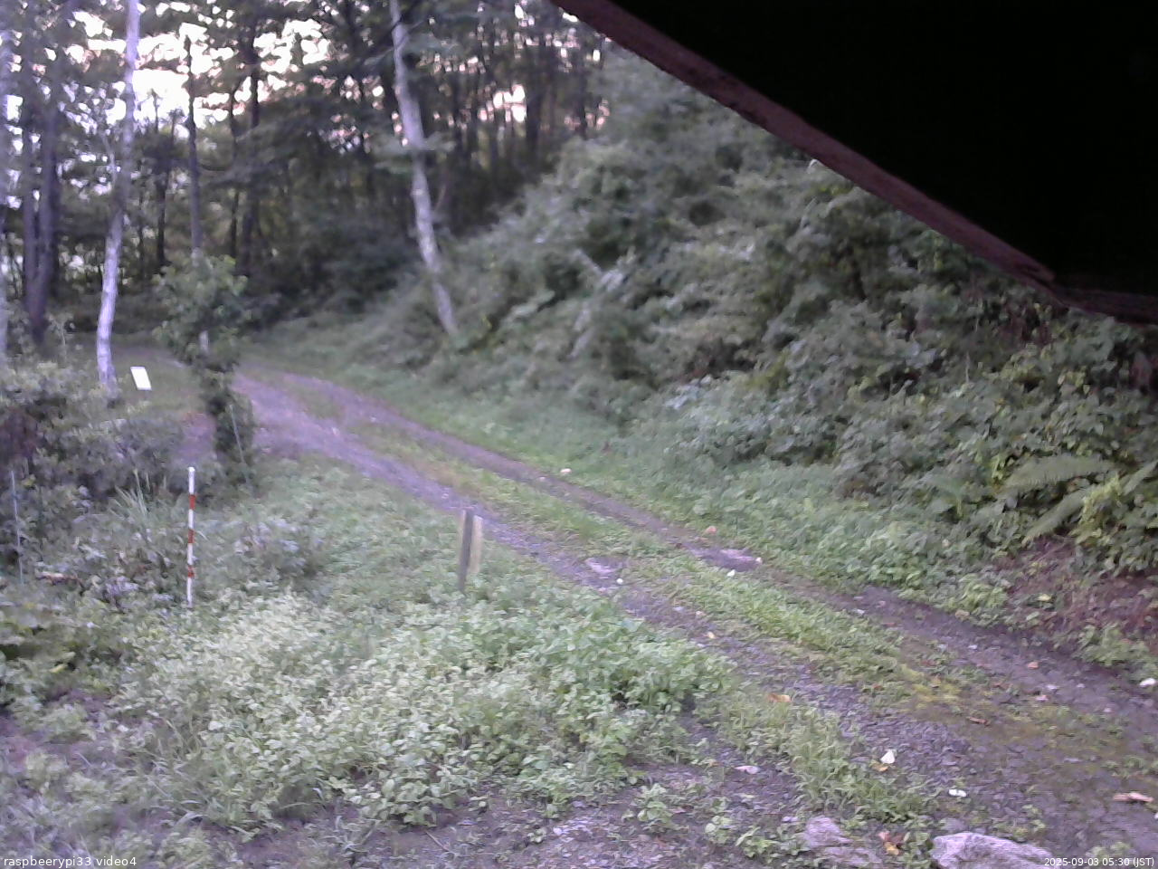 長野県菅平高原 ゆたか山荘 東側(坂下) 2025/09/03 05:30