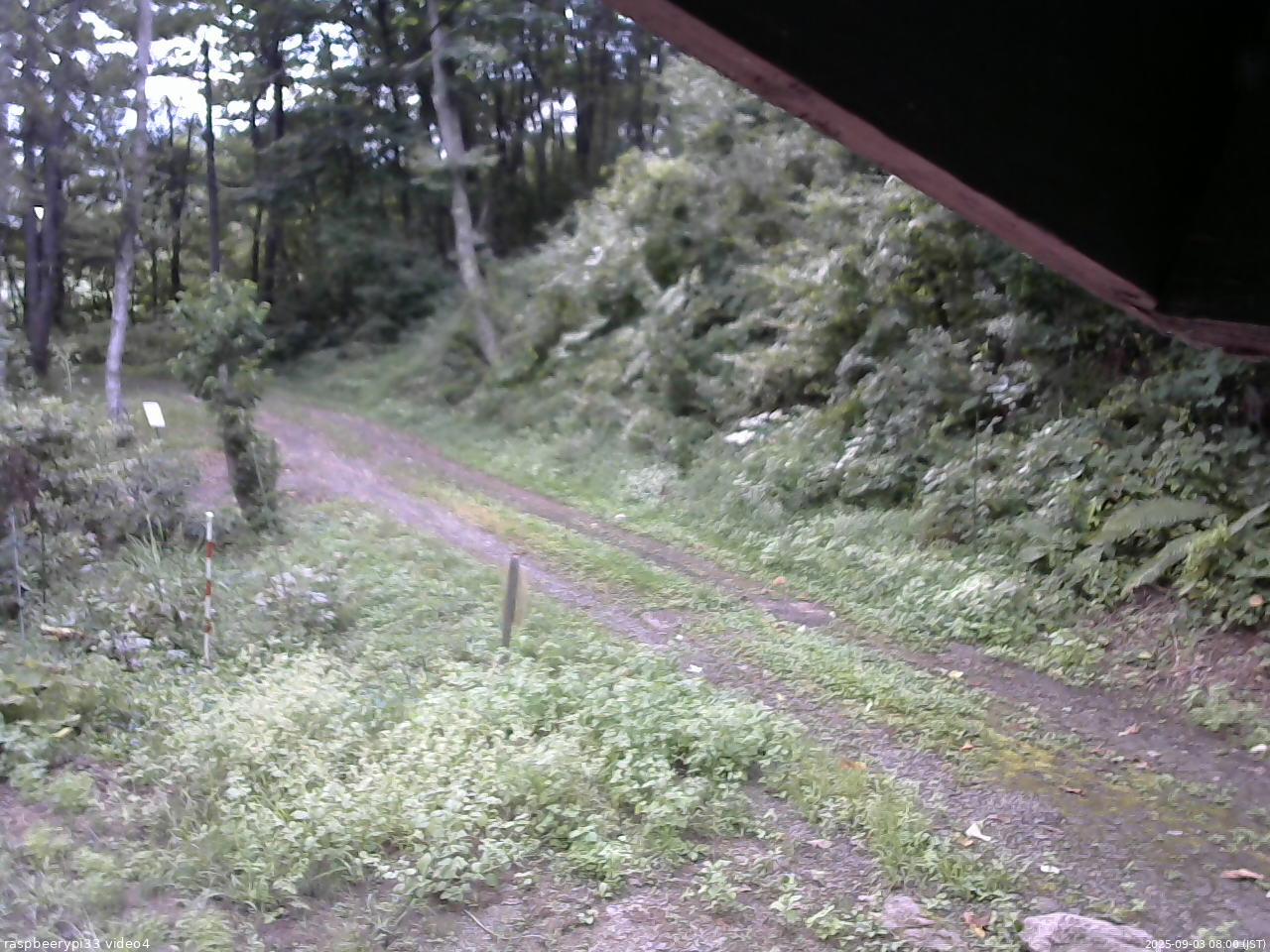 長野県菅平高原 ゆたか山荘 東側(坂下) 2025/09/03 08:00
