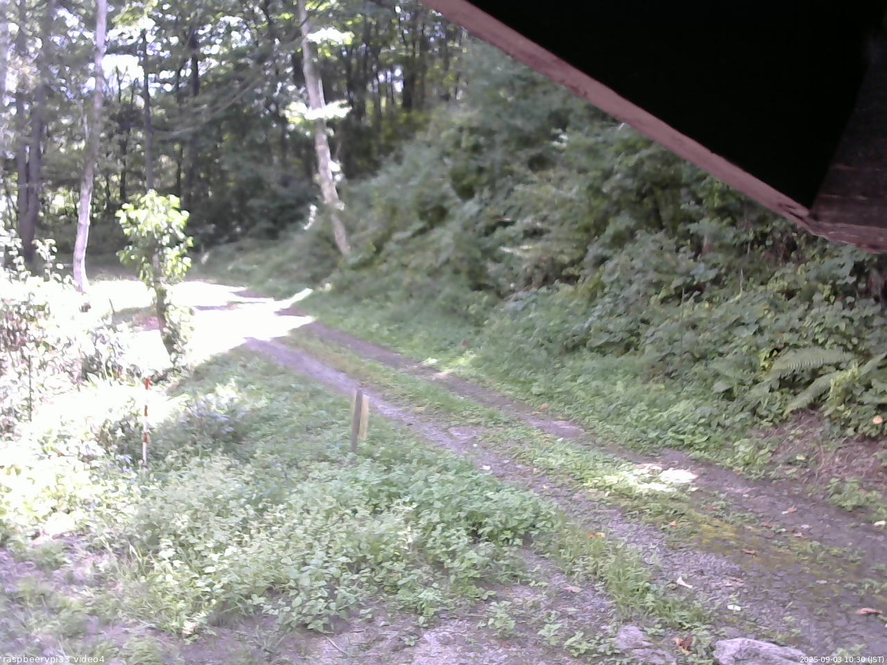 長野県菅平高原 ゆたか山荘 東側(坂下) 2025/09/03 10:30
