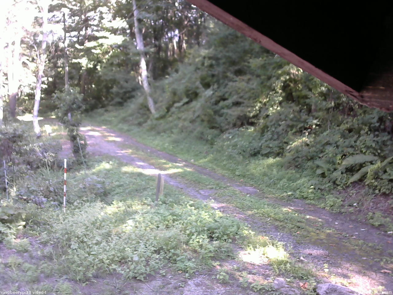 長野県菅平高原 ゆたか山荘 東側(坂下) 2025/09/03 14:15