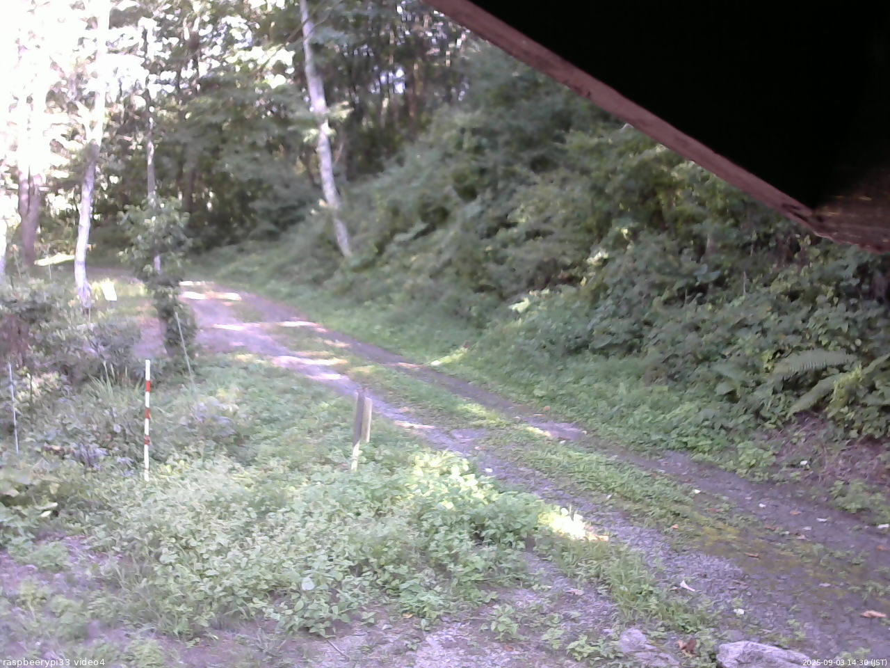 長野県菅平高原 ゆたか山荘 東側(坂下) 2025/09/03 14:30