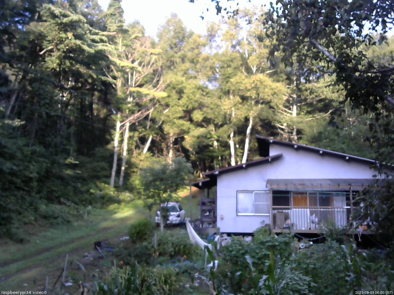 長野県菅平高原 ゆたか山荘 西側(坂上) 2025/09/03 06:00