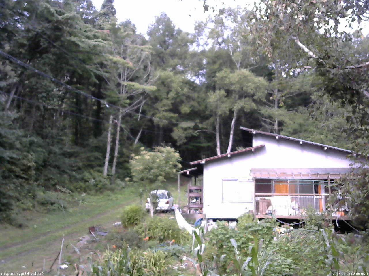 長野県菅平高原 ゆたか山荘 西側(坂上) 2025/09/03 08:00