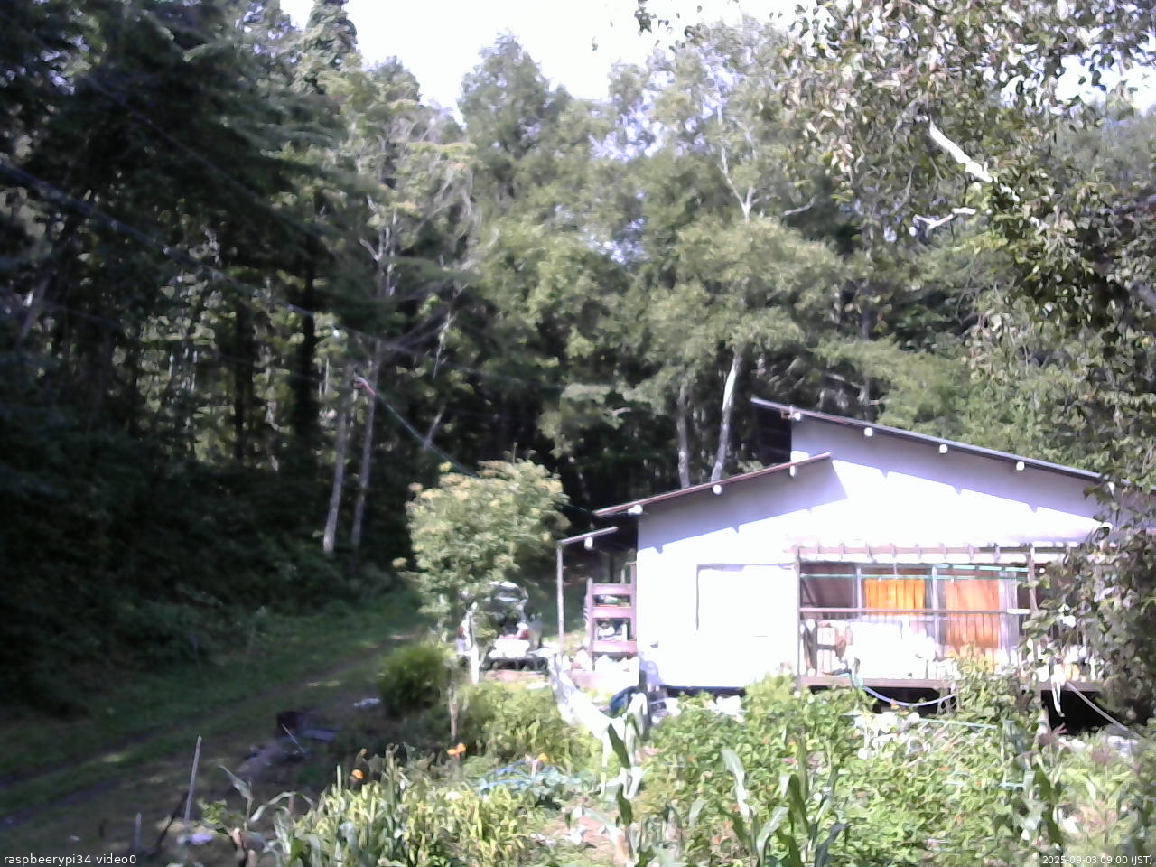 長野県菅平高原 ゆたか山荘 西側(坂上) 2025/09/03 09:00