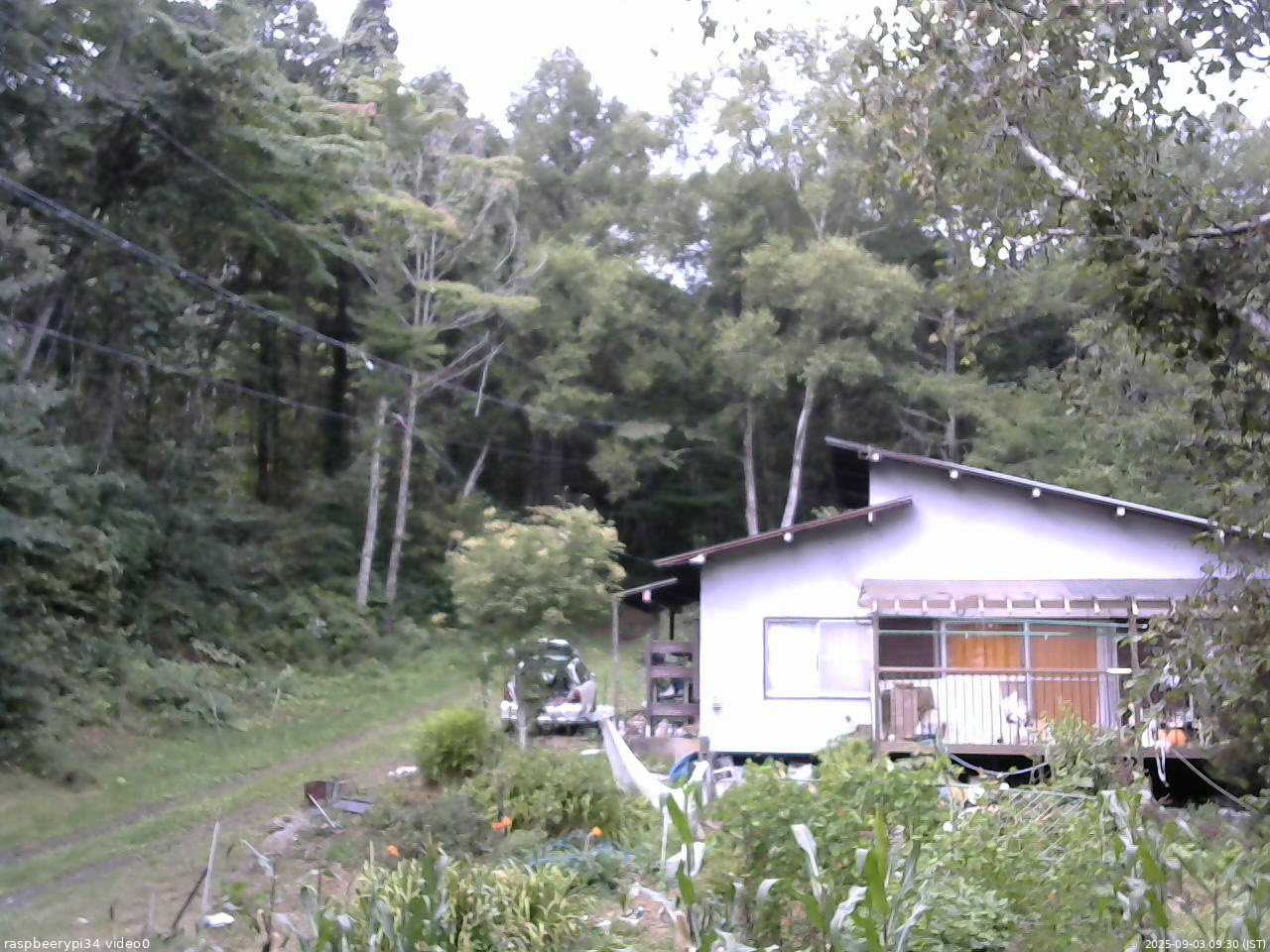 長野県菅平高原 ゆたか山荘 西側(坂上) 2025/09/03 09:30