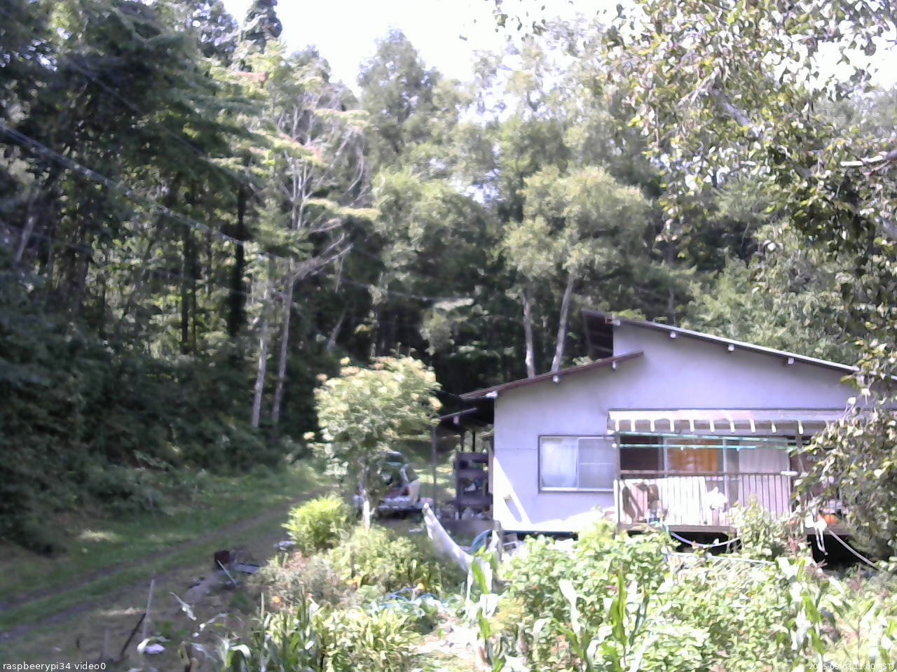 長野県菅平高原 ゆたか山荘 西側(坂上) 2025/09/03 11:00