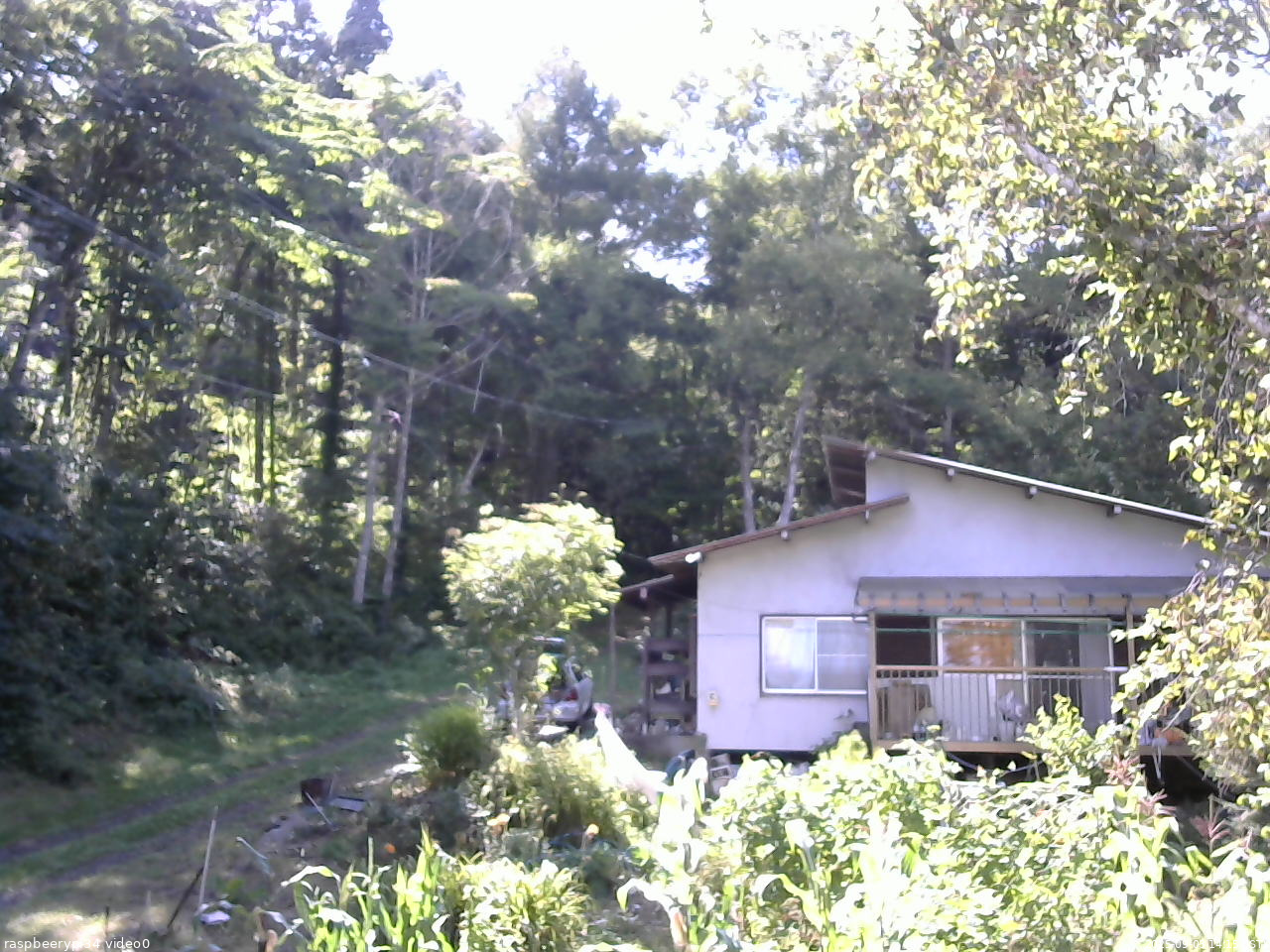 長野県菅平高原 ゆたか山荘 西側(坂上) 2025/09/03 14:15