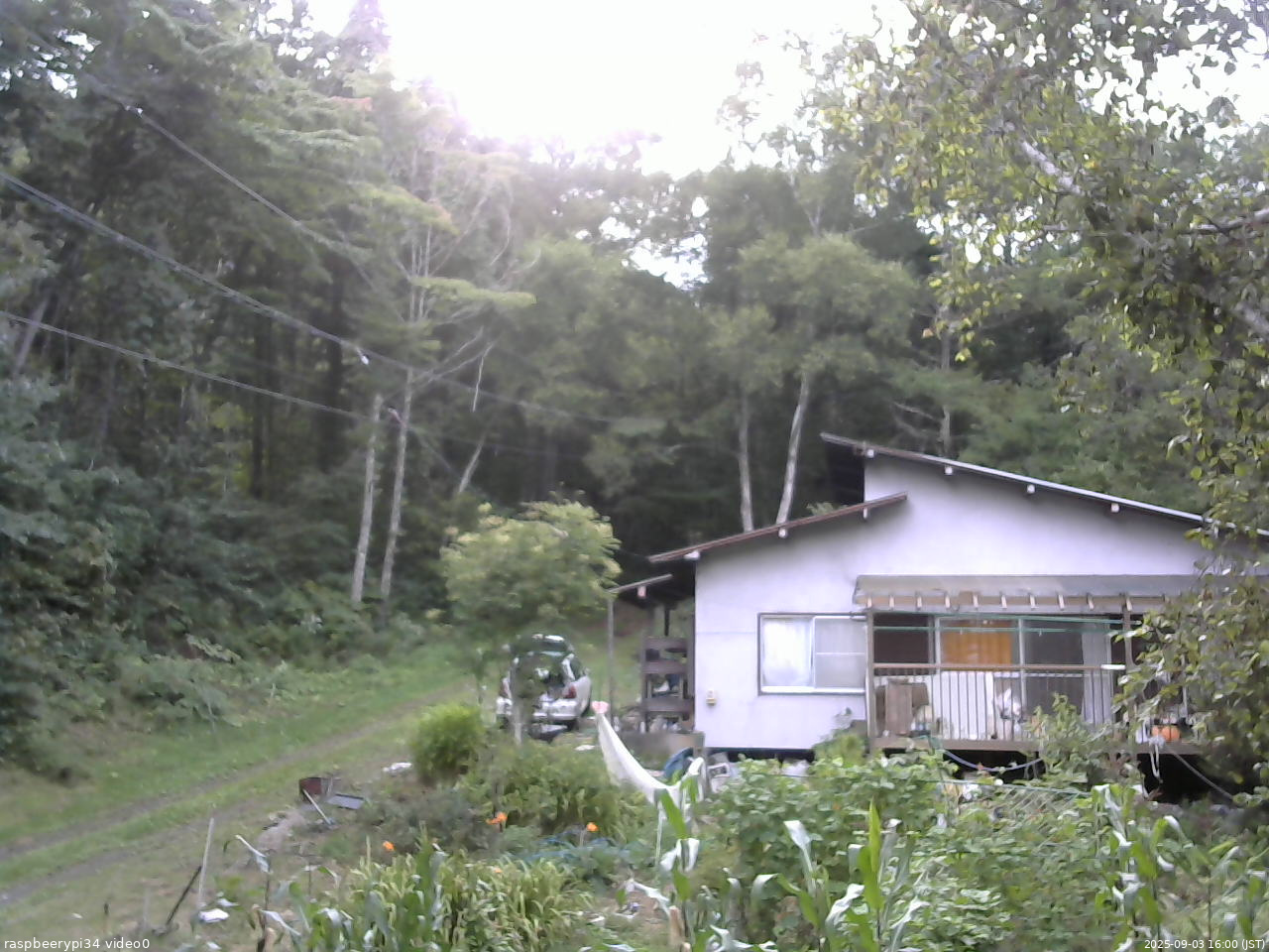 長野県菅平高原 ゆたか山荘 西側(坂上) 2025/09/03 16:00