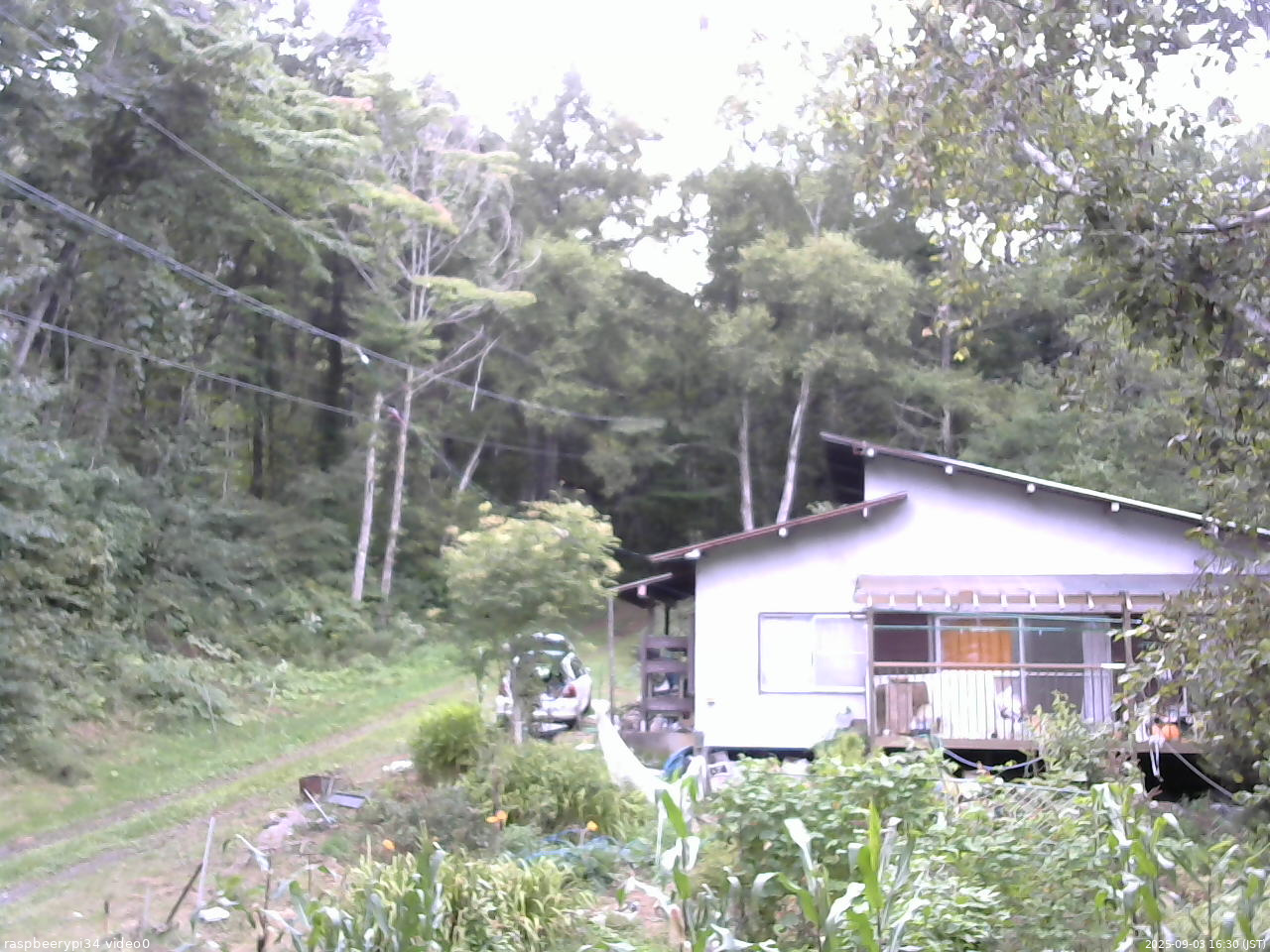 長野県菅平高原 ゆたか山荘 西側(坂上) 2025/09/03 16:30