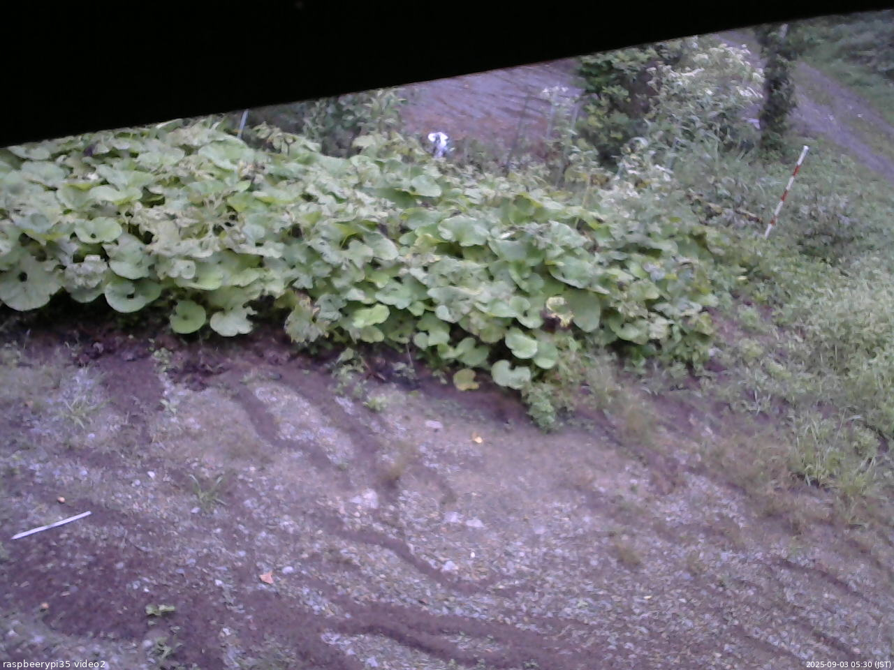 長野県菅平高原 ゆたか山荘 駐車場 2025/09/03 05:30