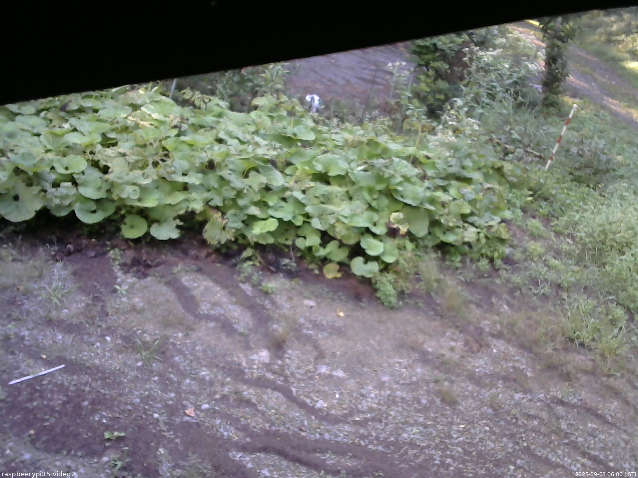 長野県菅平高原 ゆたか山荘 駐車場 2025/09/03 06:00