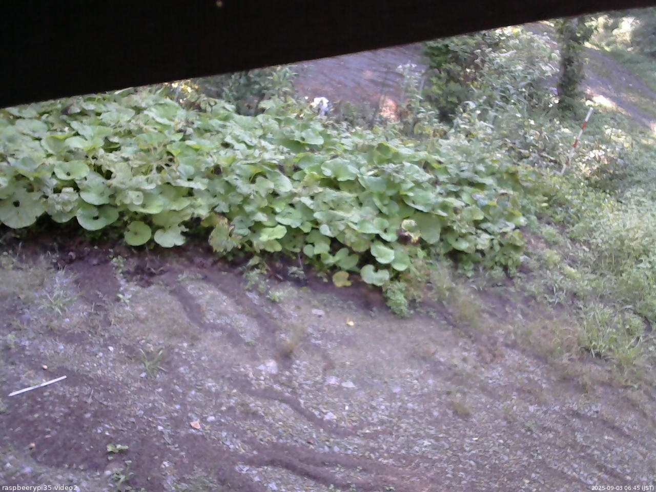 長野県菅平高原 ゆたか山荘 駐車場 2025/09/03 06:45