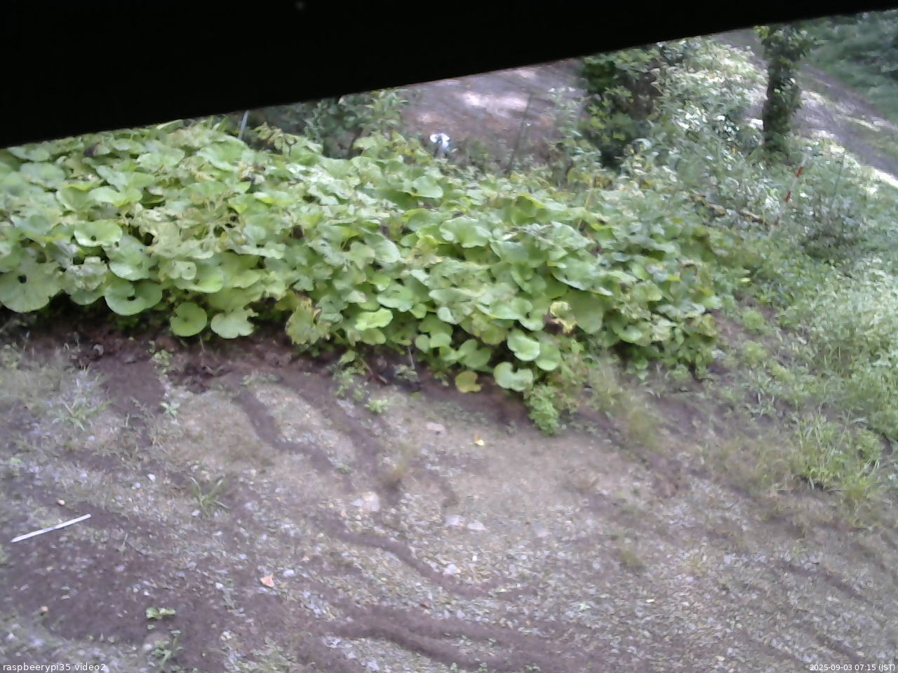 長野県菅平高原 ゆたか山荘 駐車場 2025/09/03 07:15
