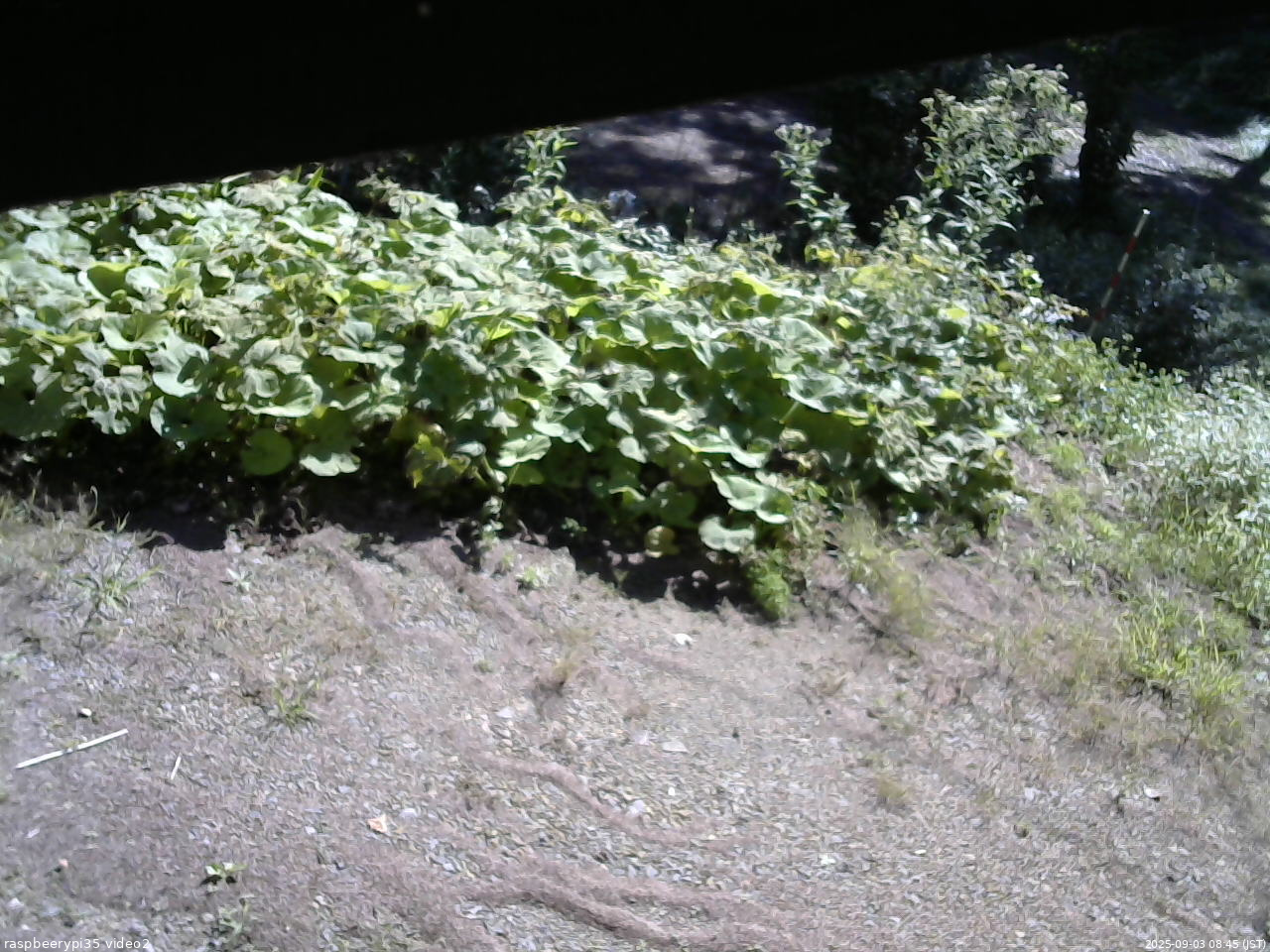 長野県菅平高原 ゆたか山荘 駐車場 2025/09/03 08:45