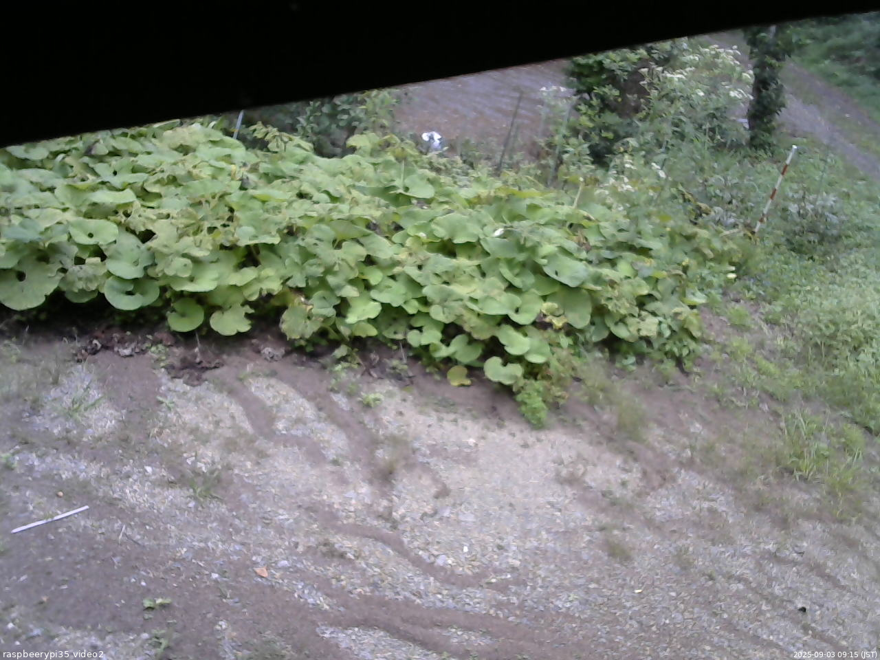 長野県菅平高原 ゆたか山荘 駐車場 2025/09/03 09:15