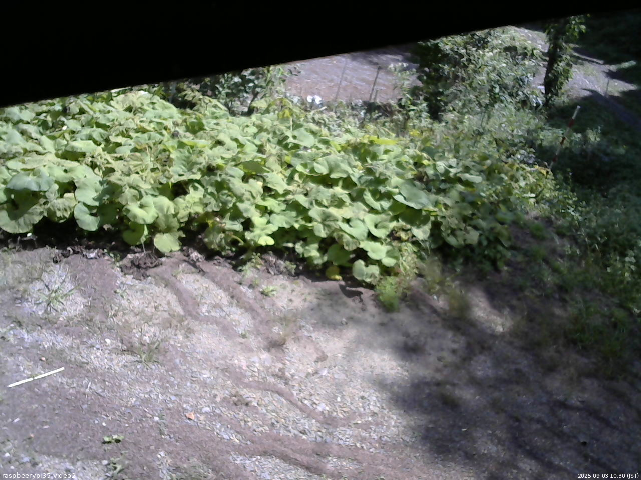 長野県菅平高原 ゆたか山荘 駐車場 2025/09/03 10:30