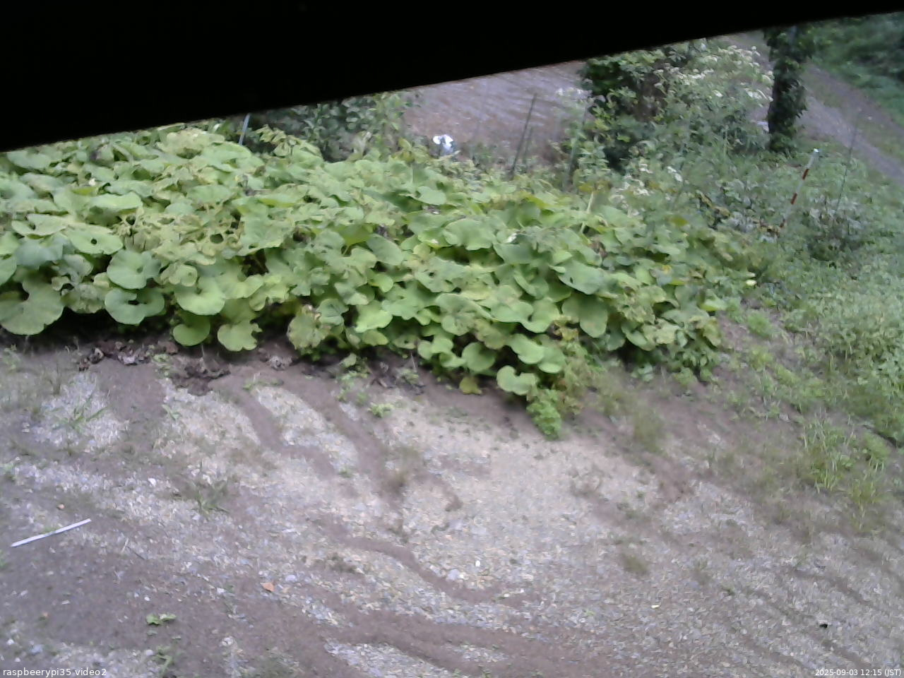長野県菅平高原 ゆたか山荘 駐車場 2025/09/03 12:15