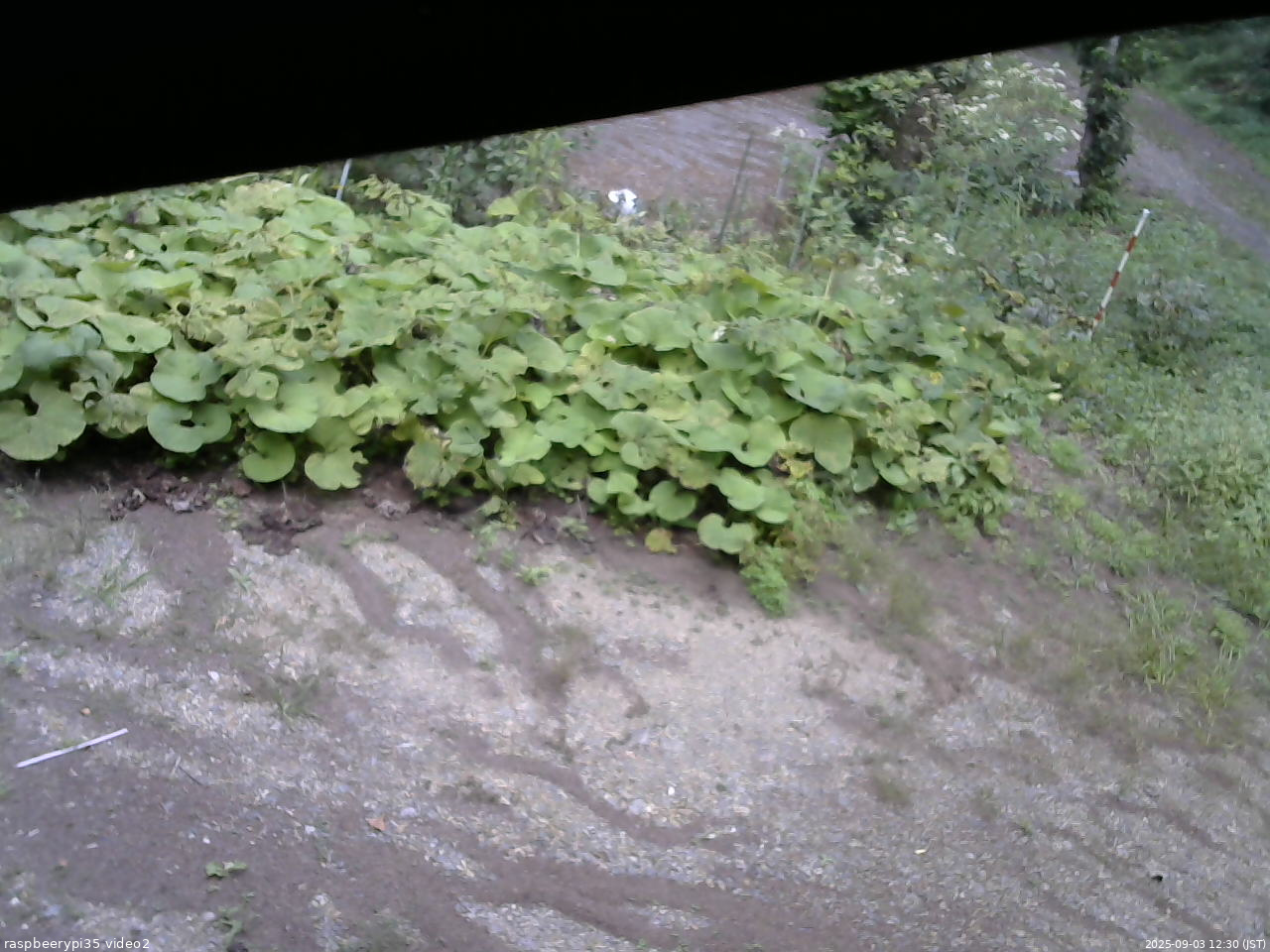 長野県菅平高原 ゆたか山荘 駐車場 2025/09/03 12:30