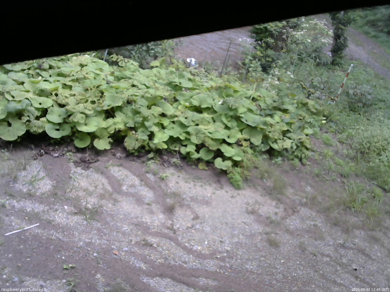 長野県菅平高原 ゆたか山荘 駐車場 2025/09/03 12:45