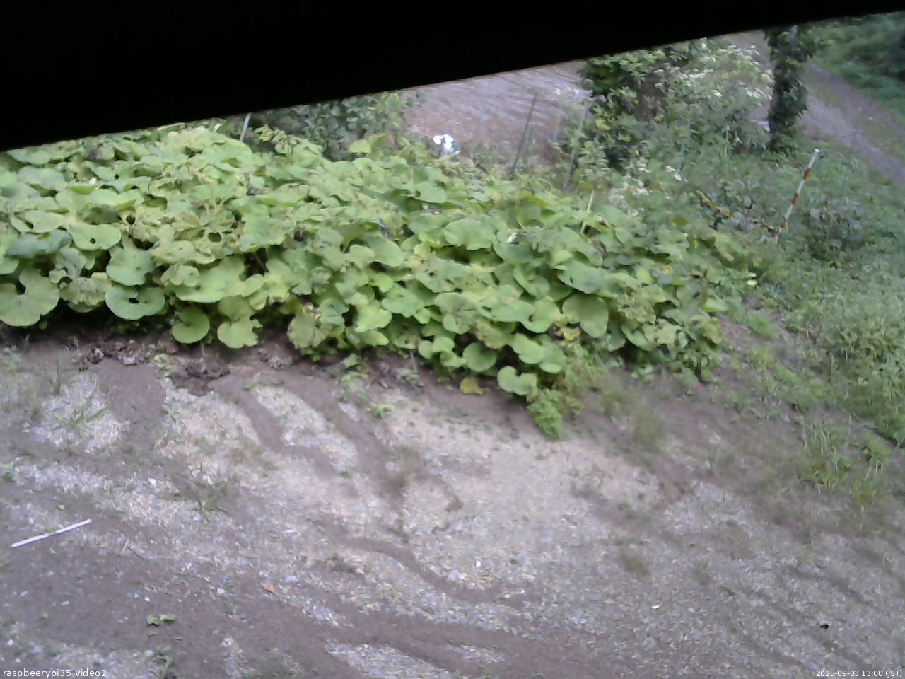 長野県菅平高原 ゆたか山荘 駐車場 2025/09/03 13:00