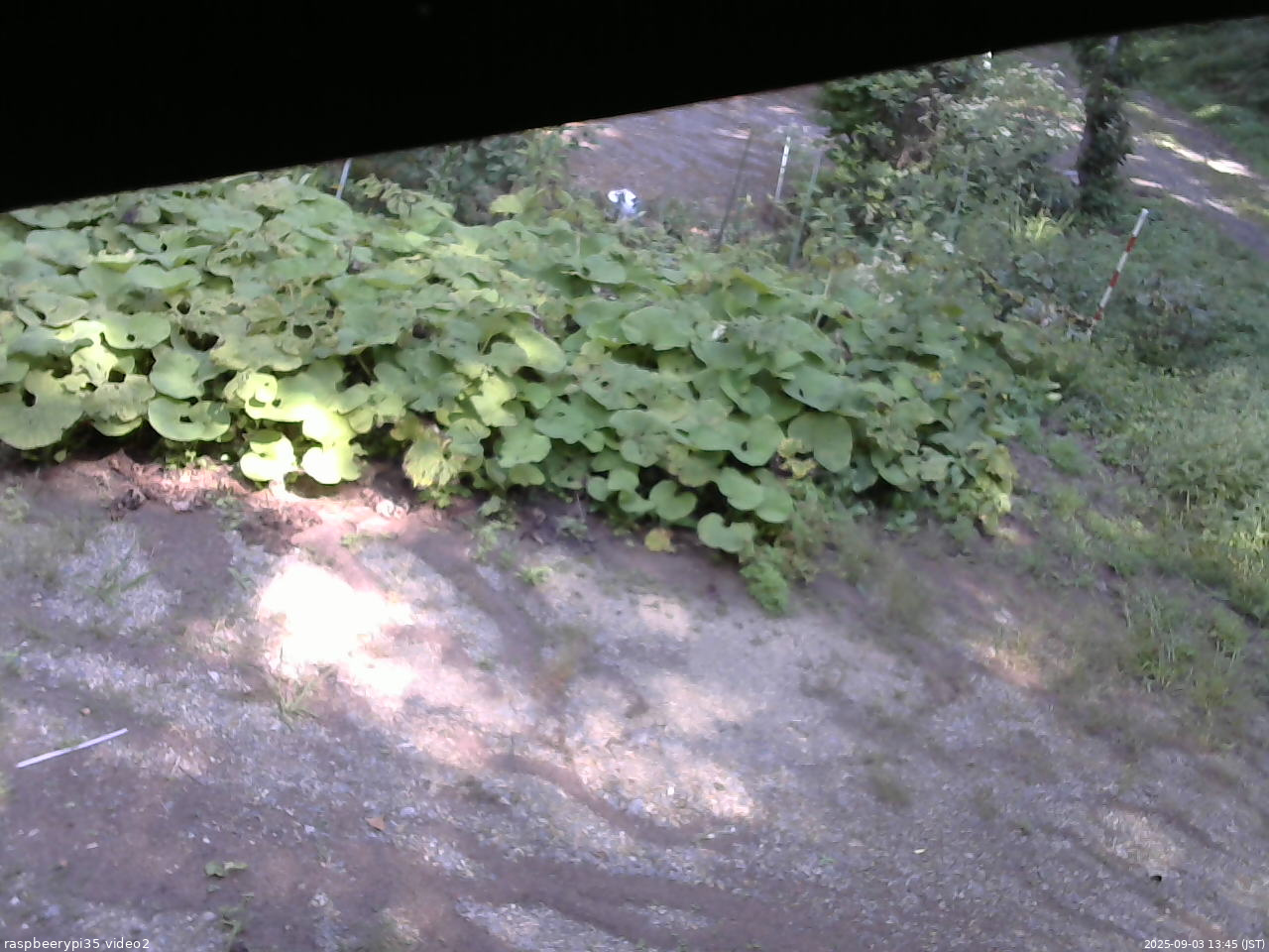 長野県菅平高原 ゆたか山荘 駐車場 2025/09/03 13:45