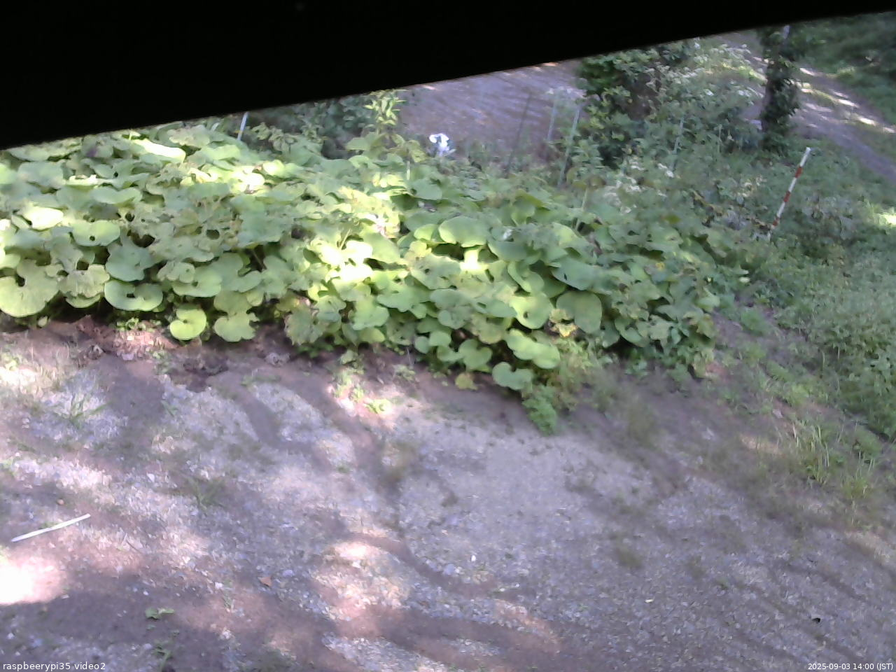 長野県菅平高原 ゆたか山荘 駐車場 2025/09/03 14:00