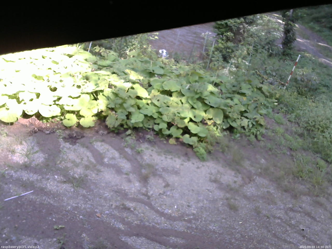 長野県菅平高原 ゆたか山荘 駐車場 2025/09/03 14:30