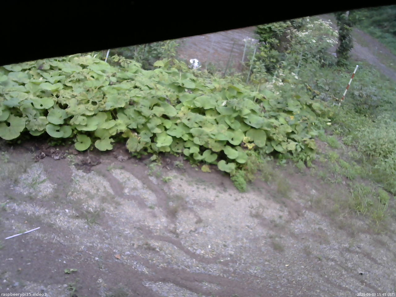 長野県菅平高原 ゆたか山荘 駐車場 2025/09/03 15:45