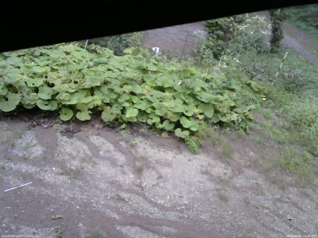 長野県菅平高原 ゆたか山荘 駐車場 2025/09/03 16:30