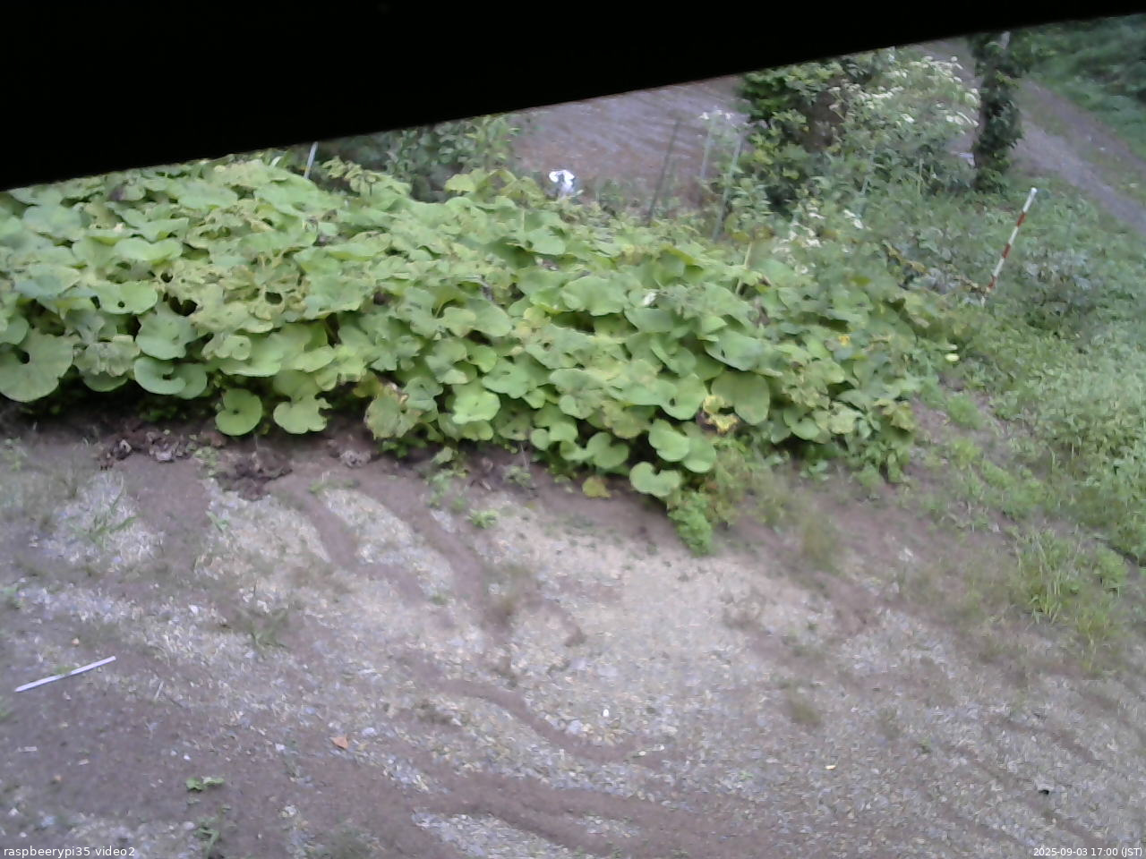 長野県菅平高原 ゆたか山荘 駐車場 2025/09/03 17:00