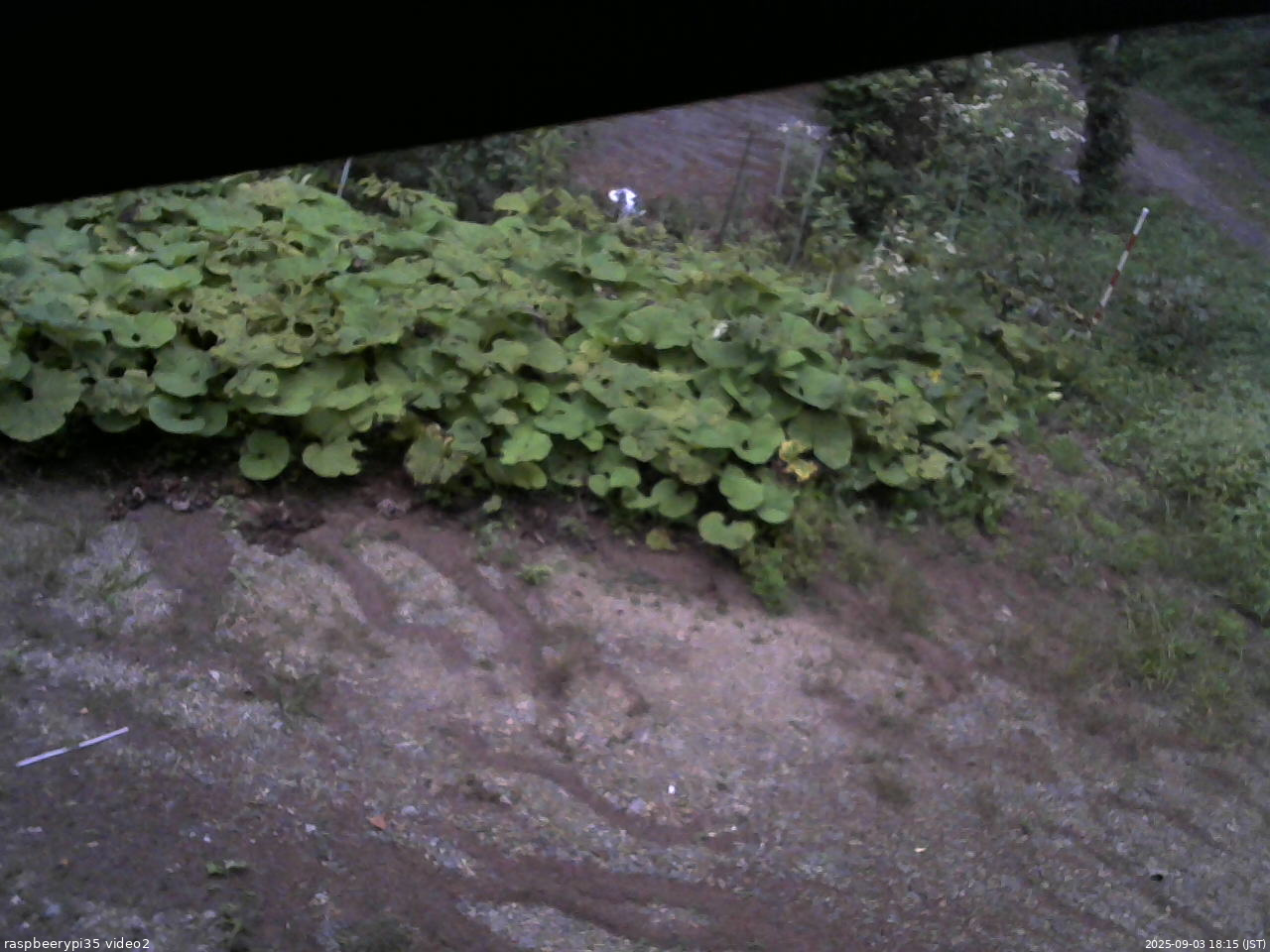 長野県菅平高原 ゆたか山荘 駐車場 2025/09/03 18:15