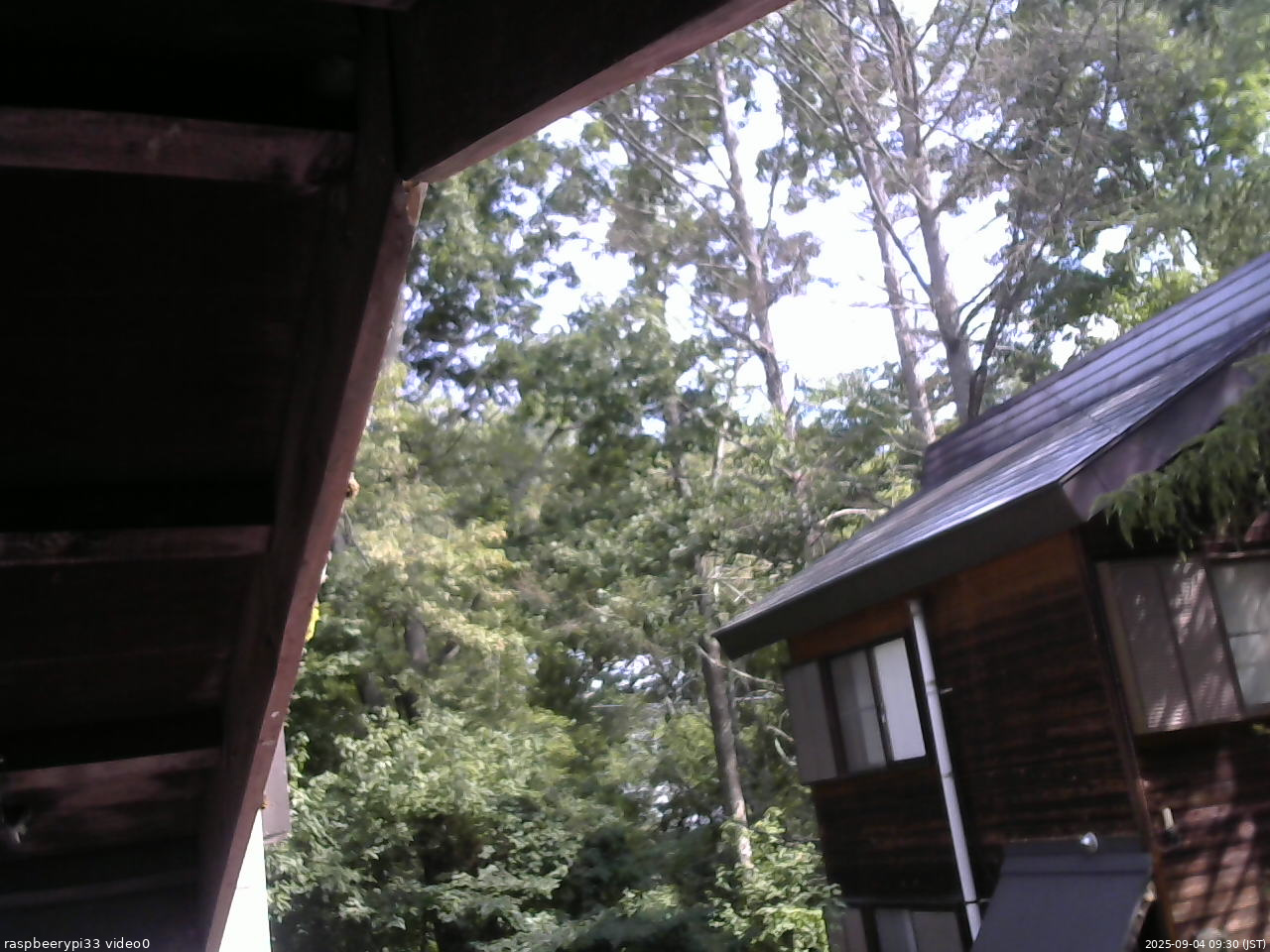 長野県菅平高原 ゆたか山荘 北側 2025/09/04 09:30