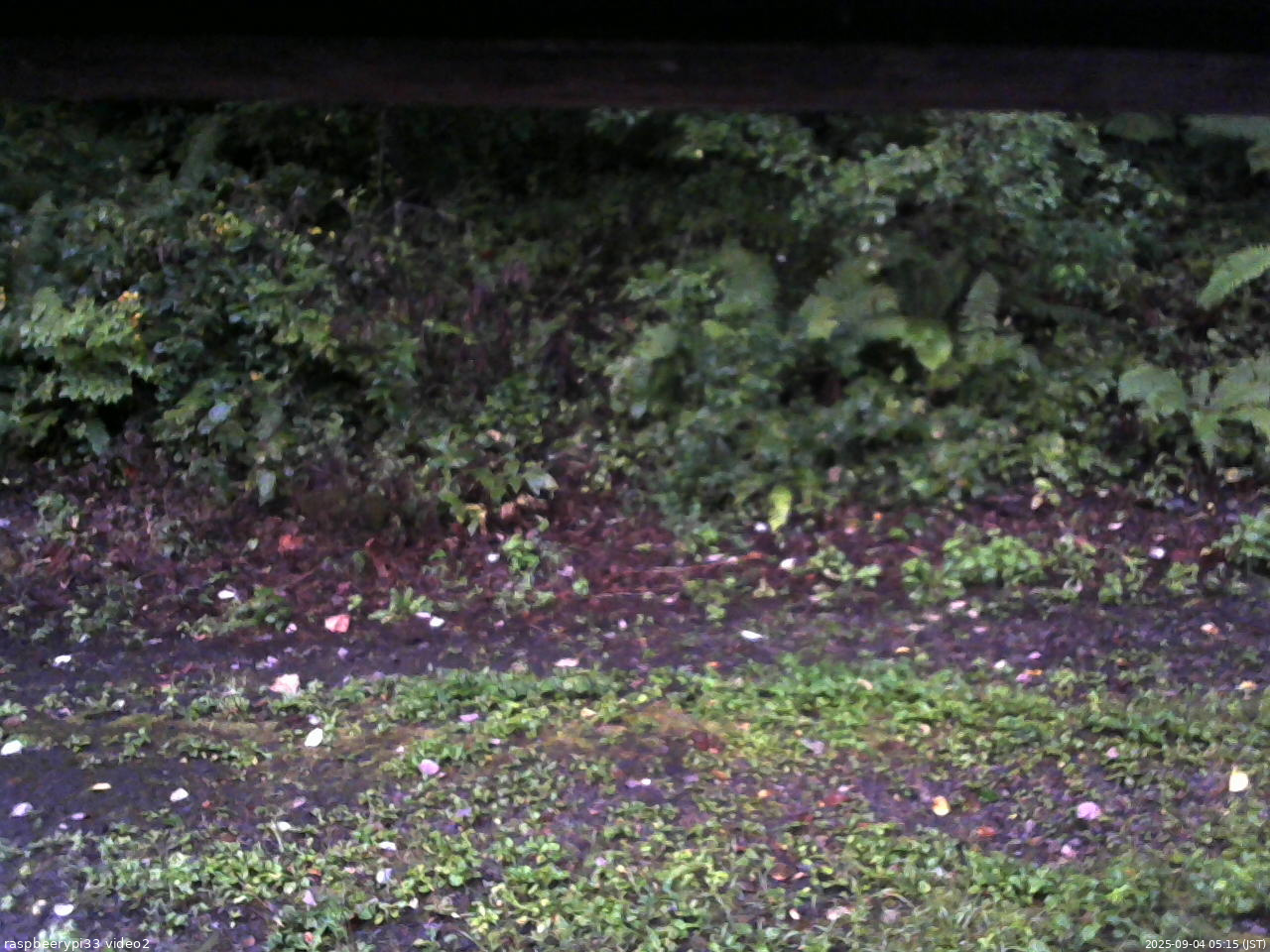 長野県菅平高原 ゆたか山荘 南側 2025/09/04 05:15
