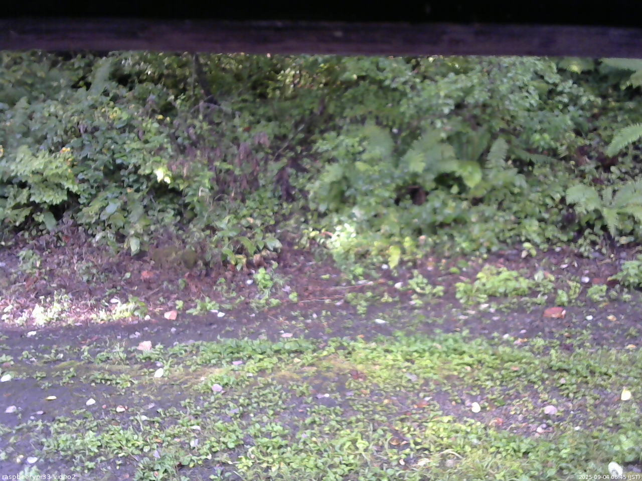 長野県菅平高原 ゆたか山荘 南側 2025/09/04 06:45