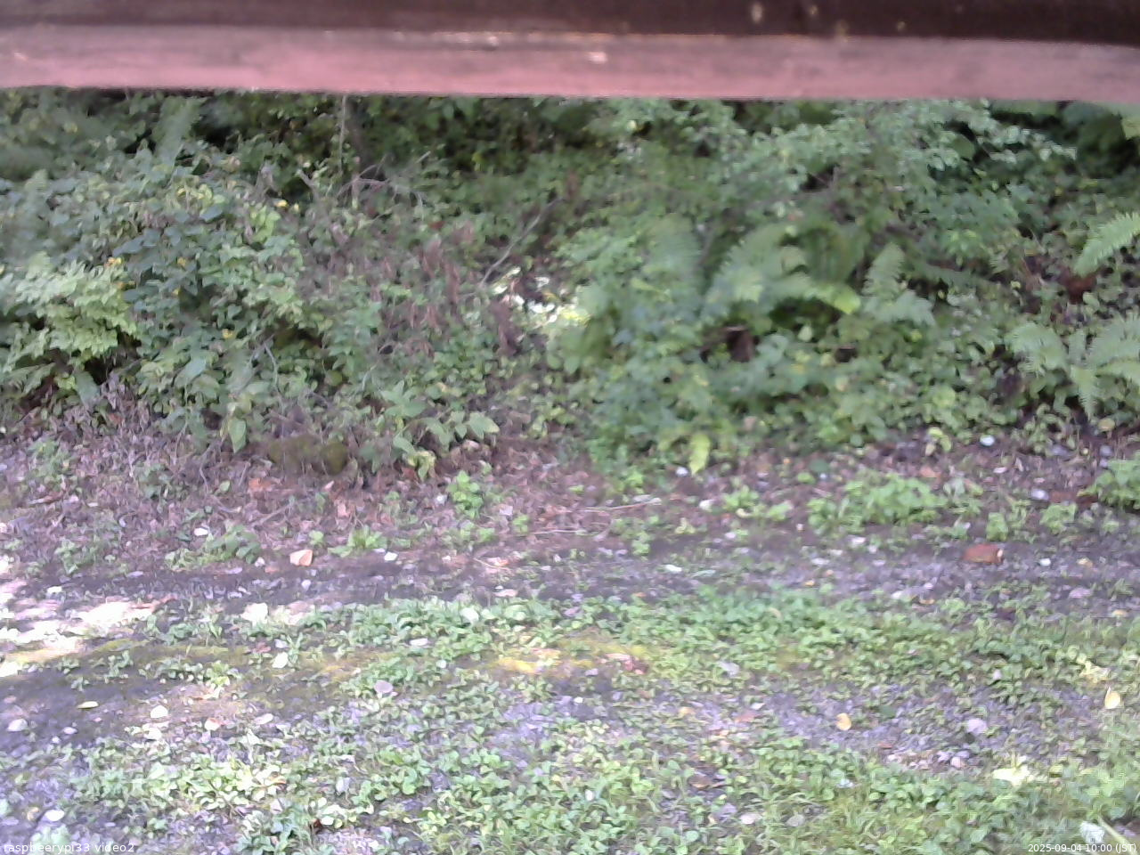 長野県菅平高原 ゆたか山荘 南側 2025/09/04 10:00