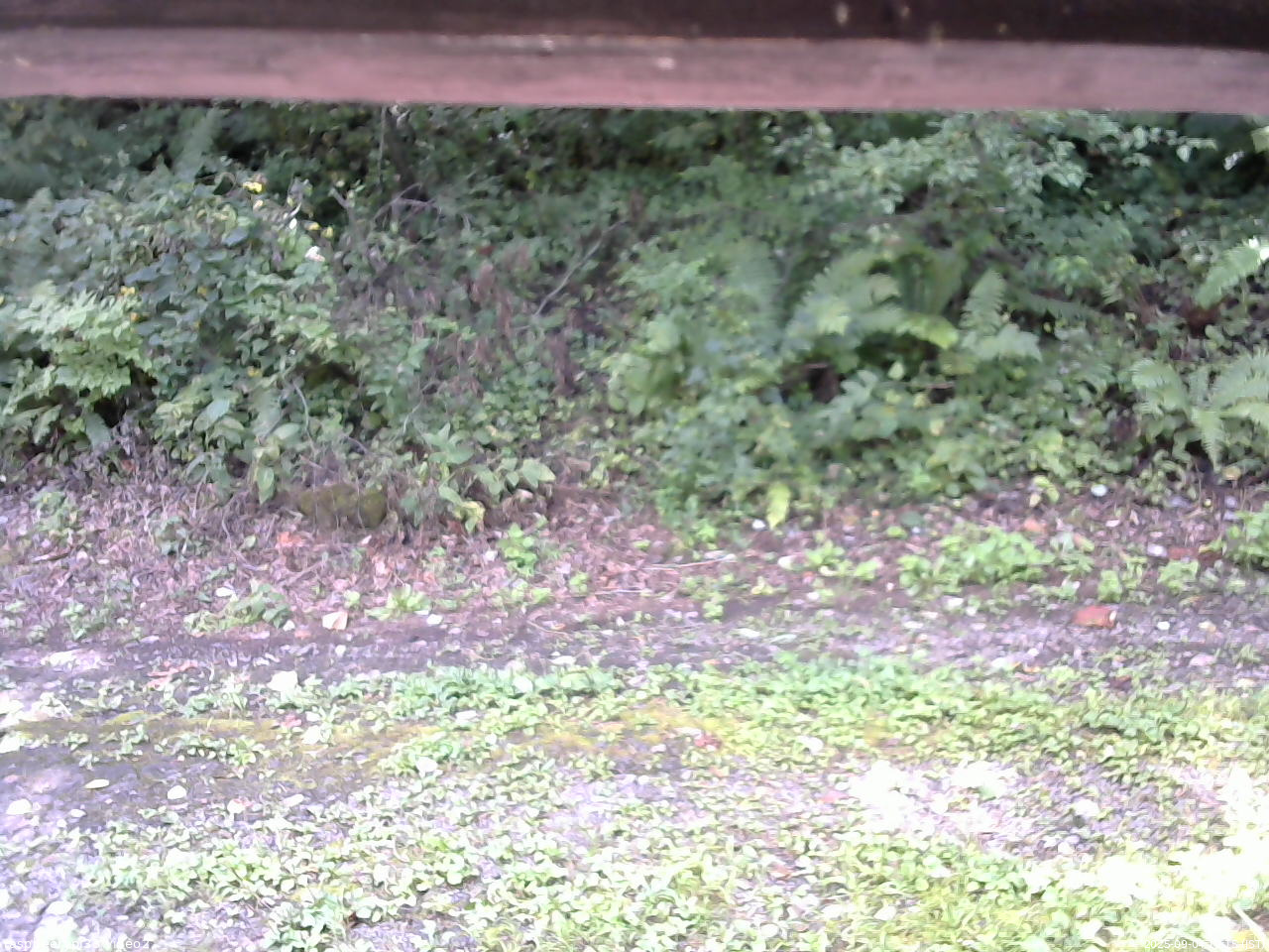 長野県菅平高原 ゆたか山荘 南側 2025/09/04 10:15