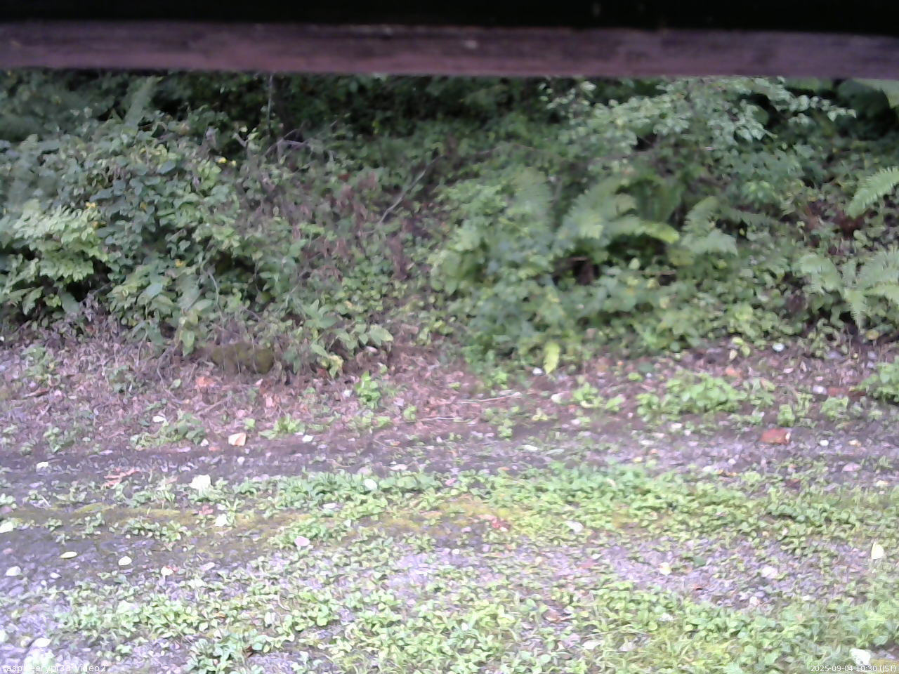 長野県菅平高原 ゆたか山荘 南側 2025/09/04 10:30