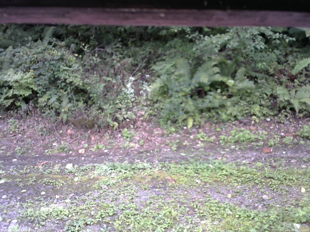 長野県菅平高原 ゆたか山荘 南側 2025/09/04 10:45